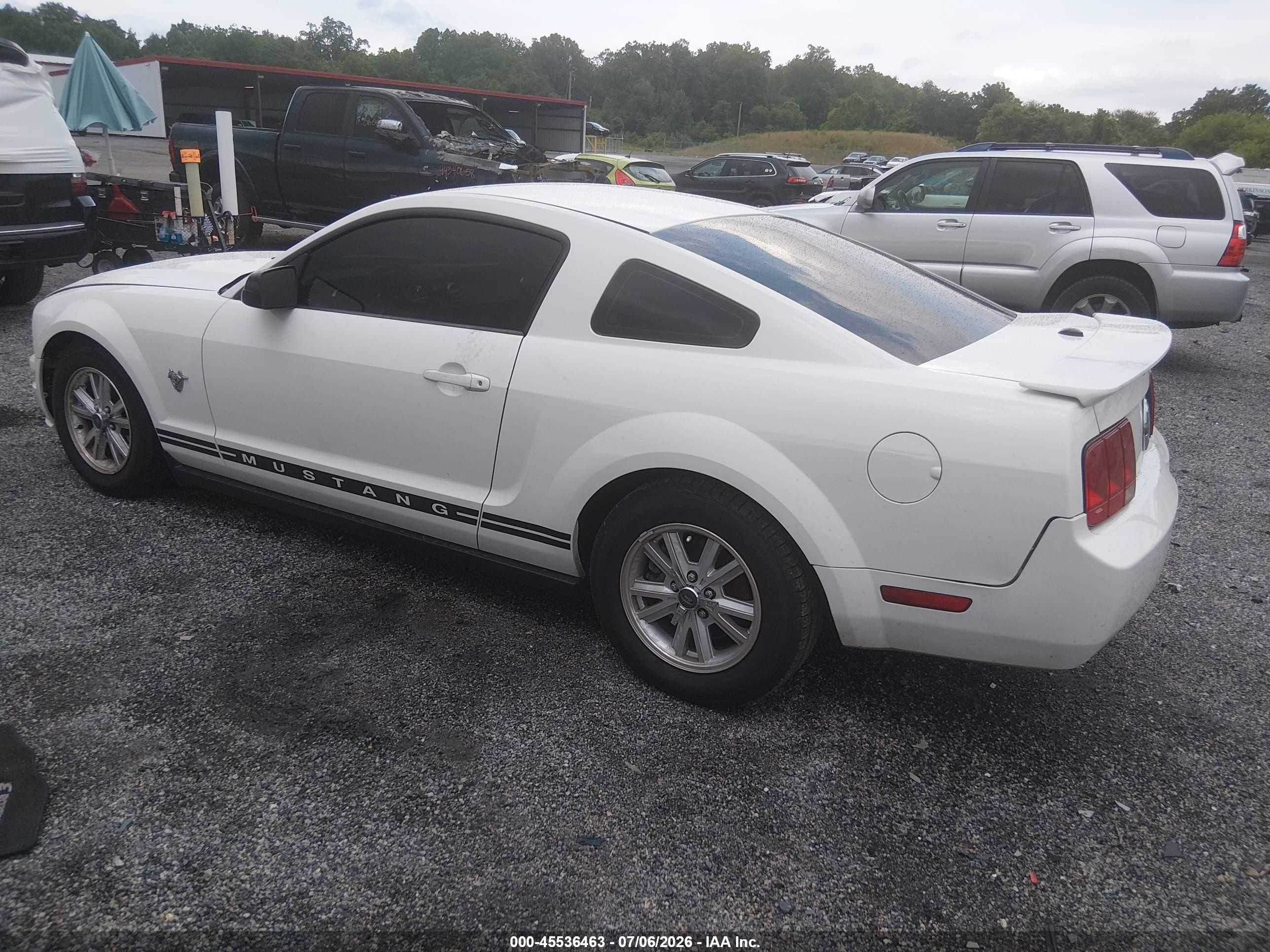 2009 Ford Mustang V6/v6 Premium White vin: 1ZVHT80N095141393