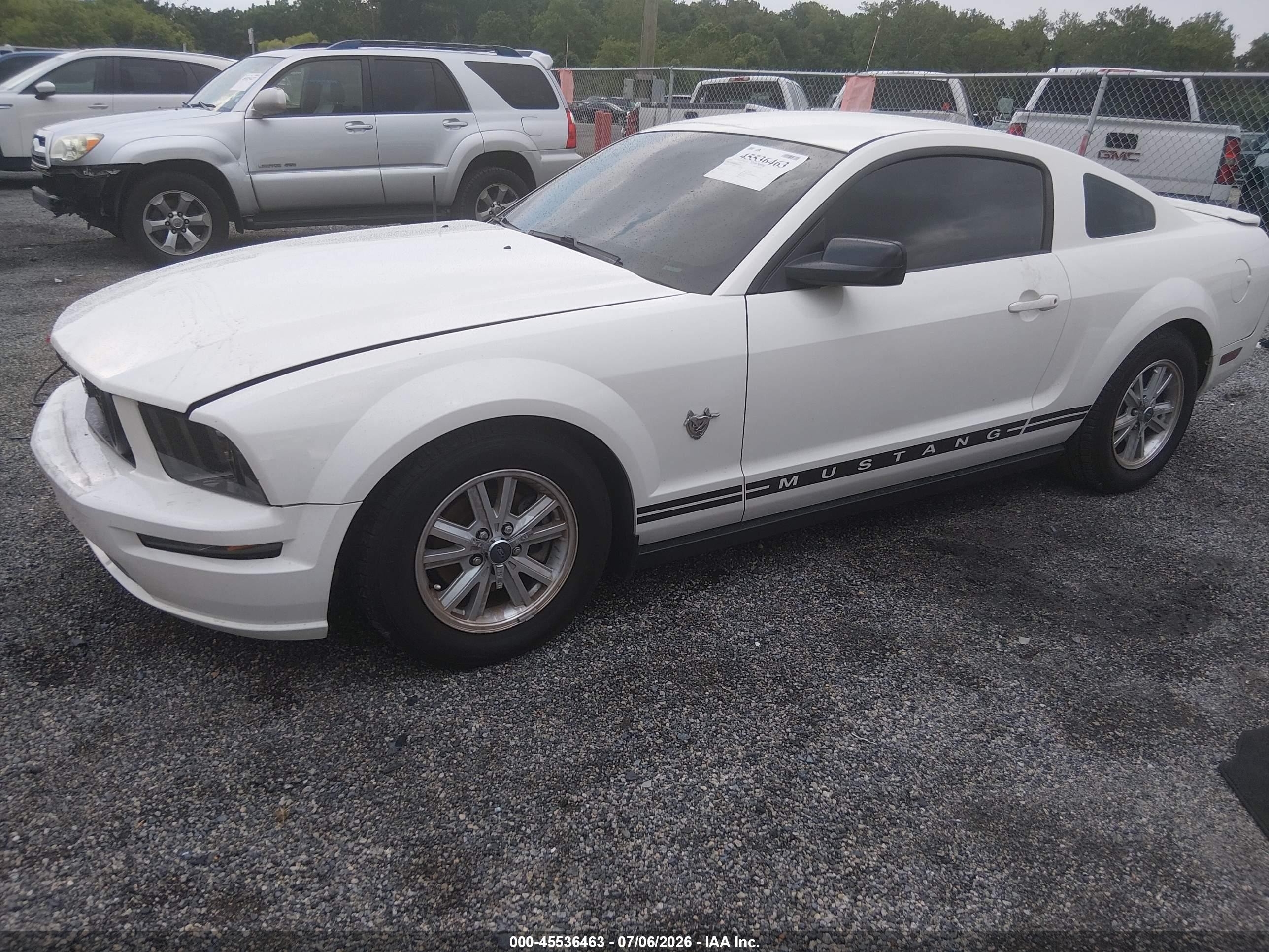 2009 Ford Mustang V6/v6 Premium White vin: 1ZVHT80N095141393