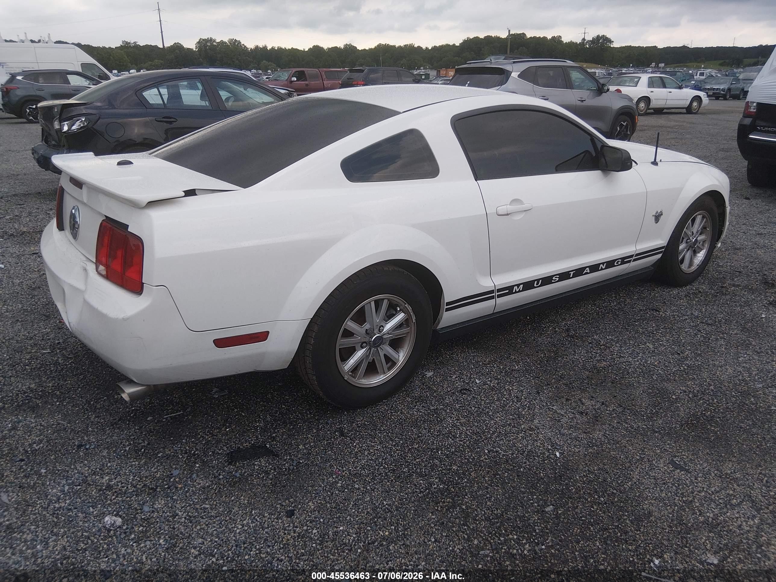 2009 Ford Mustang V6/v6 Premium White vin: 1ZVHT80N095141393