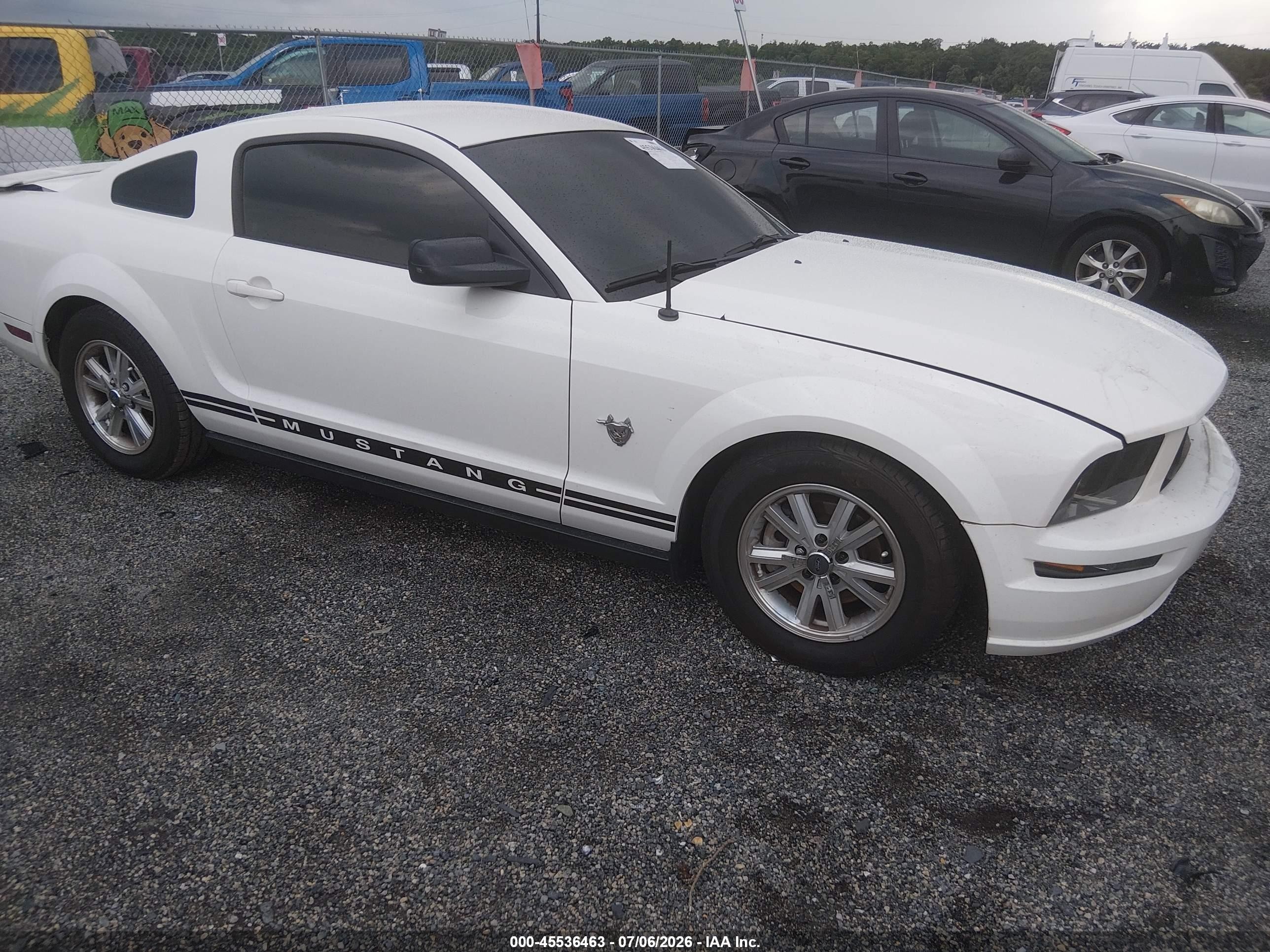 2009 Ford Mustang V6/v6 Premium White vin: 1ZVHT80N095141393