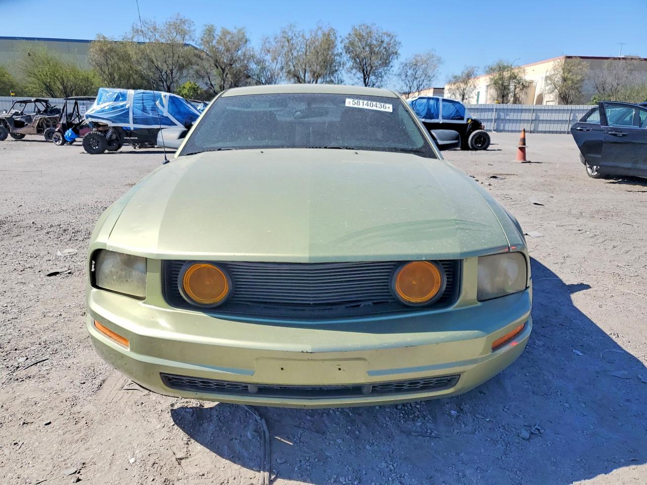 2006 Ford Mustang Green vin: 1ZVHT80N165140071