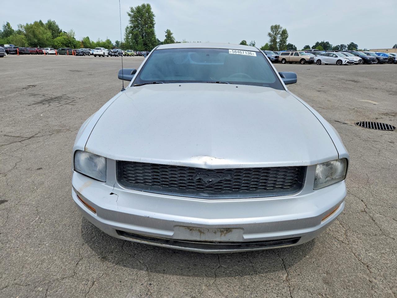 2008 Ford Mustang Silver vin: 1ZVHT80N185114735