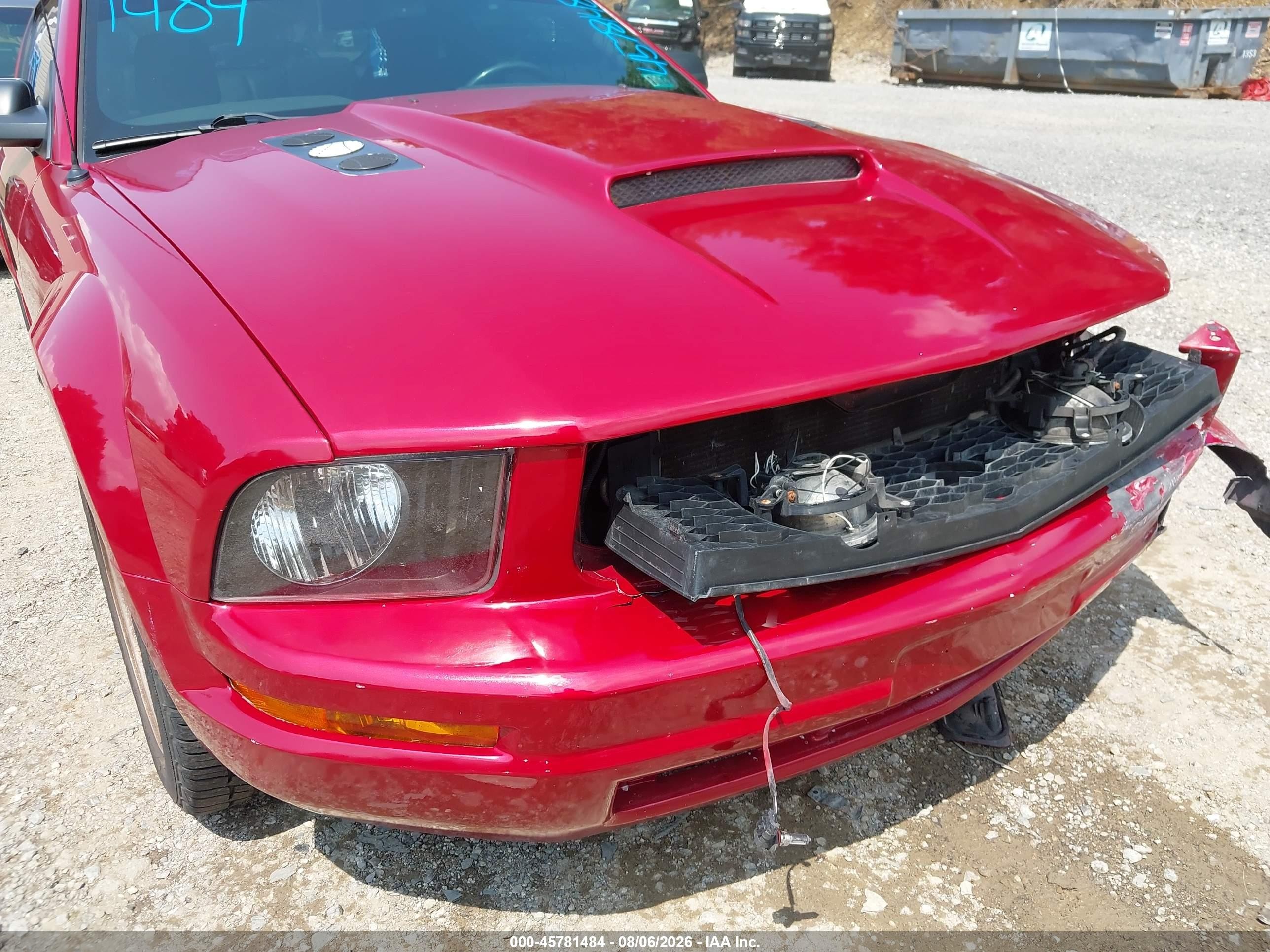 2008 Ford Mustang V6 Deluxe/v6 Premium Red vin: 1ZVHT80N185117120