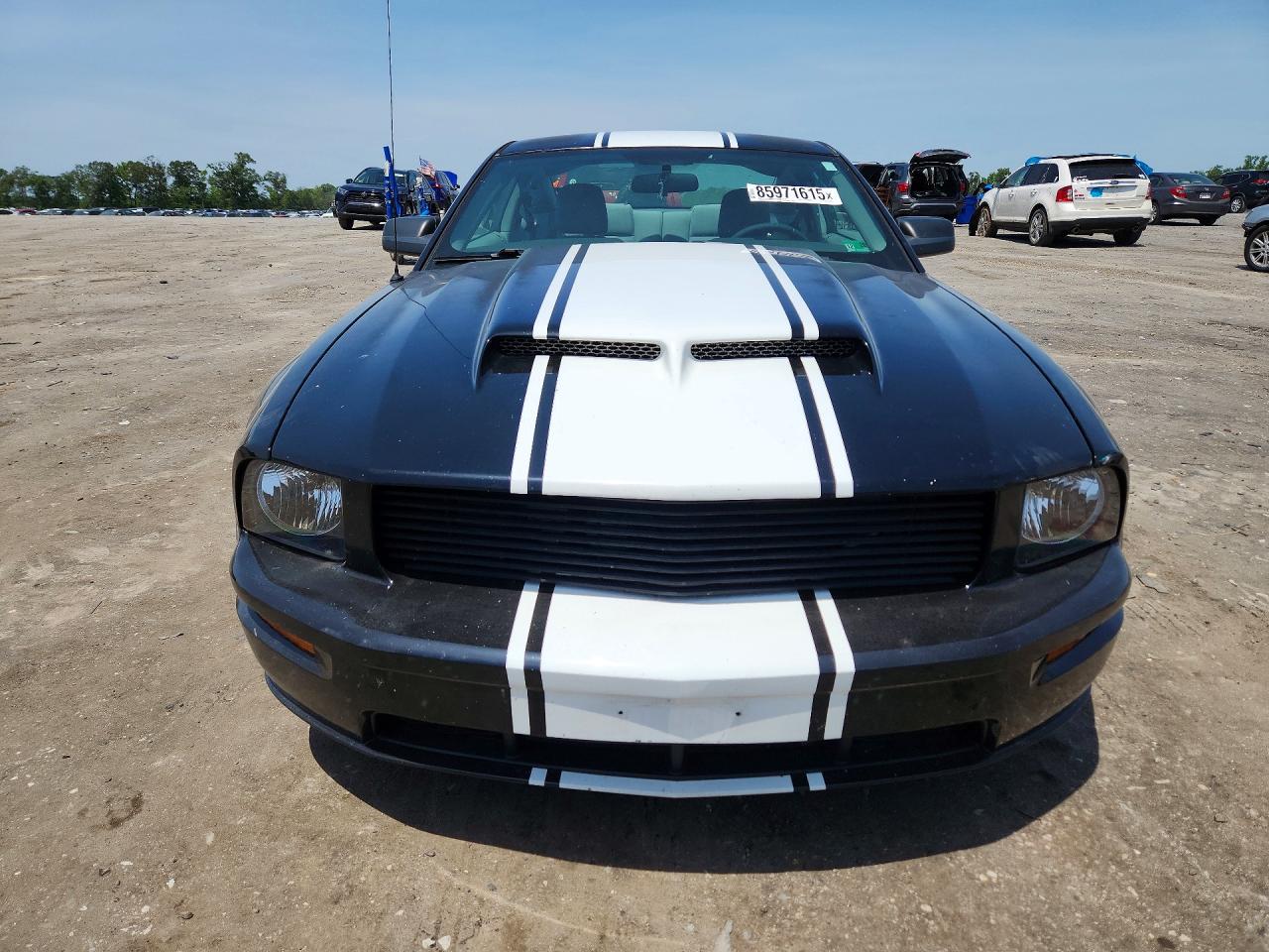 2008 Ford Mustang Черный vin: 1ZVHT80N185119787