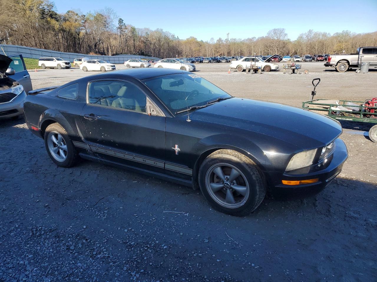 2008 Ford Mustang Black vin: 1ZVHT80N185131454