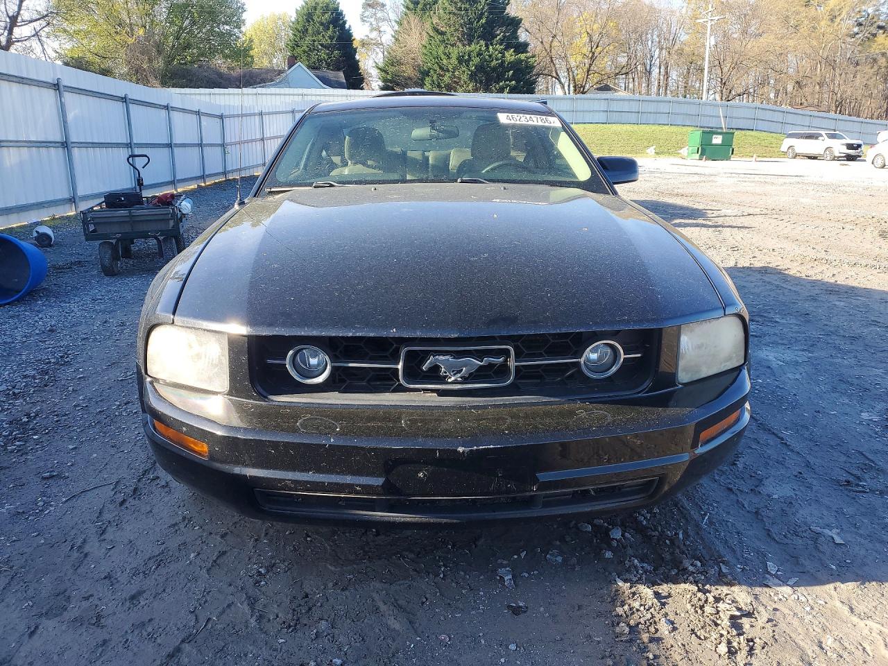 2008 Ford Mustang Black vin: 1ZVHT80N185131454
