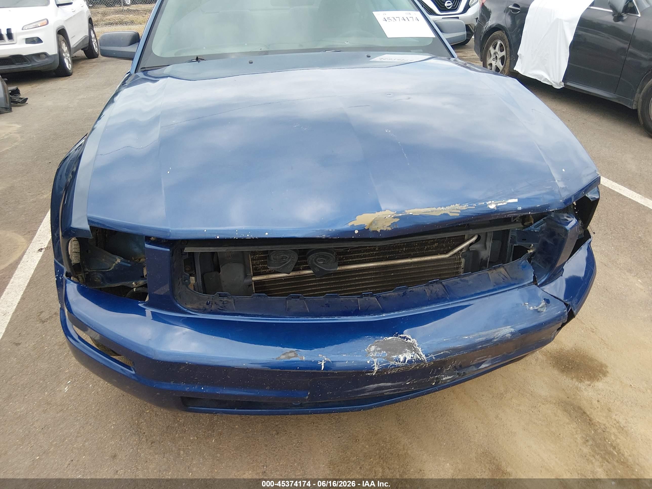 2008 Ford Mustang V6 Deluxe/v6 Premium Синий vin: 1ZVHT80N185208422