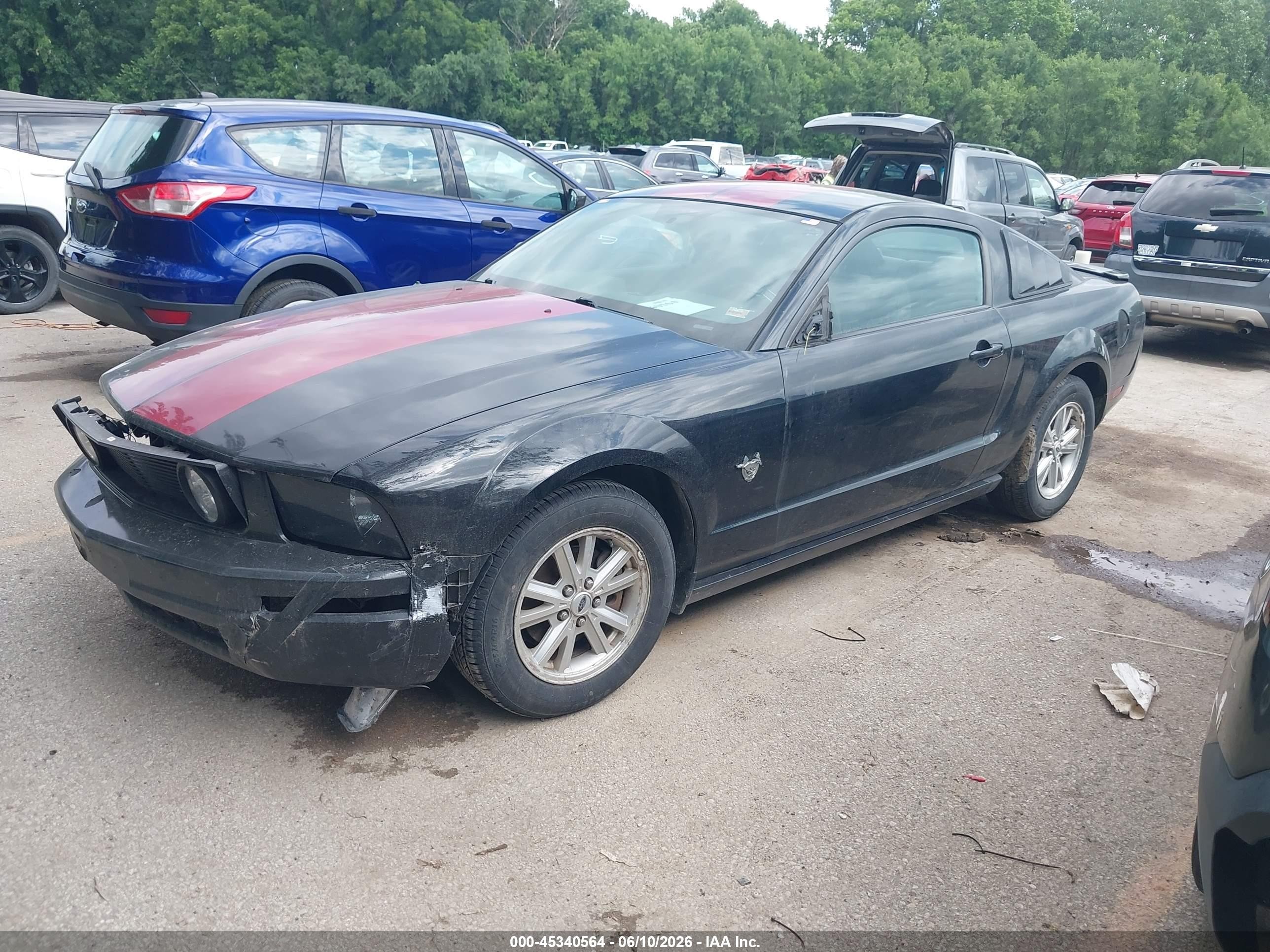 2009 Ford Mustang V6 Черный vin: 1ZVHT80N195102456