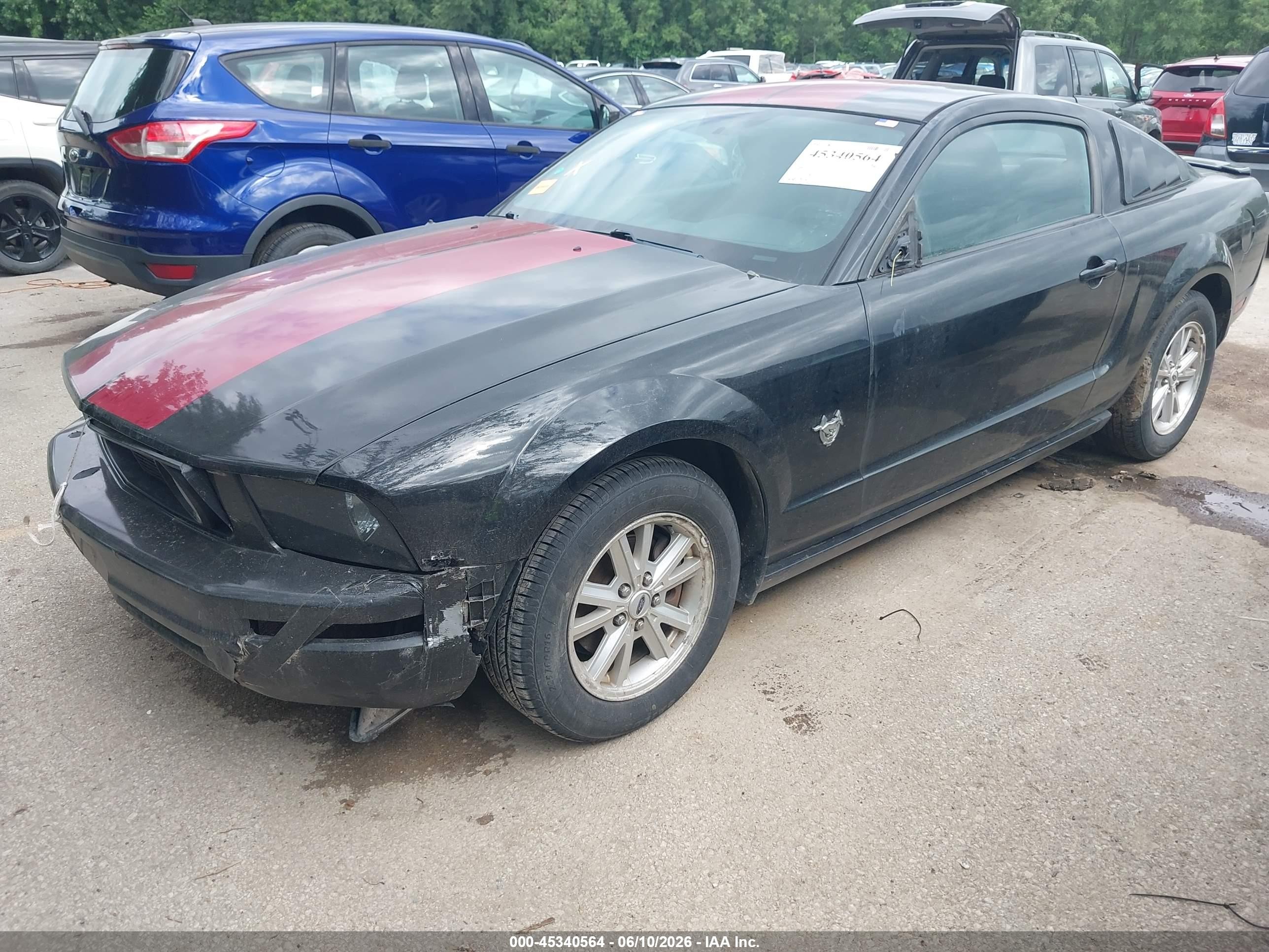 2009 Ford Mustang V6 Черный vin: 1ZVHT80N195102456