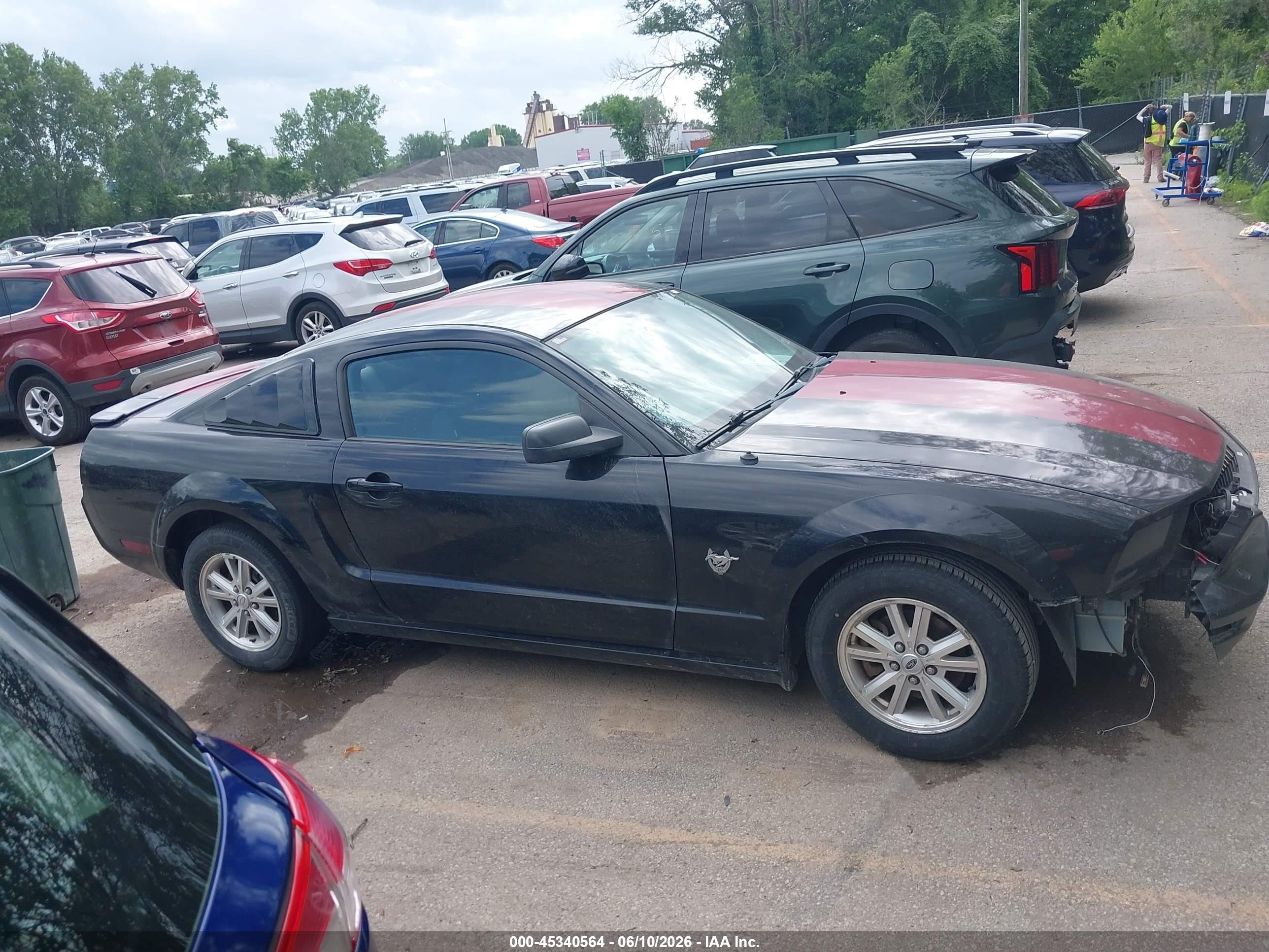 2009 Ford Mustang V6 Черный vin: 1ZVHT80N195102456