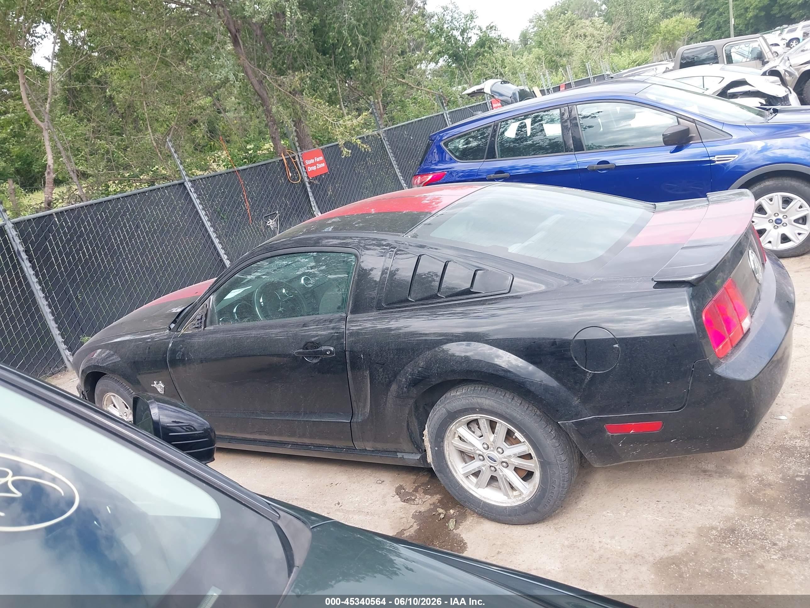 2009 Ford Mustang V6 Черный vin: 1ZVHT80N195102456