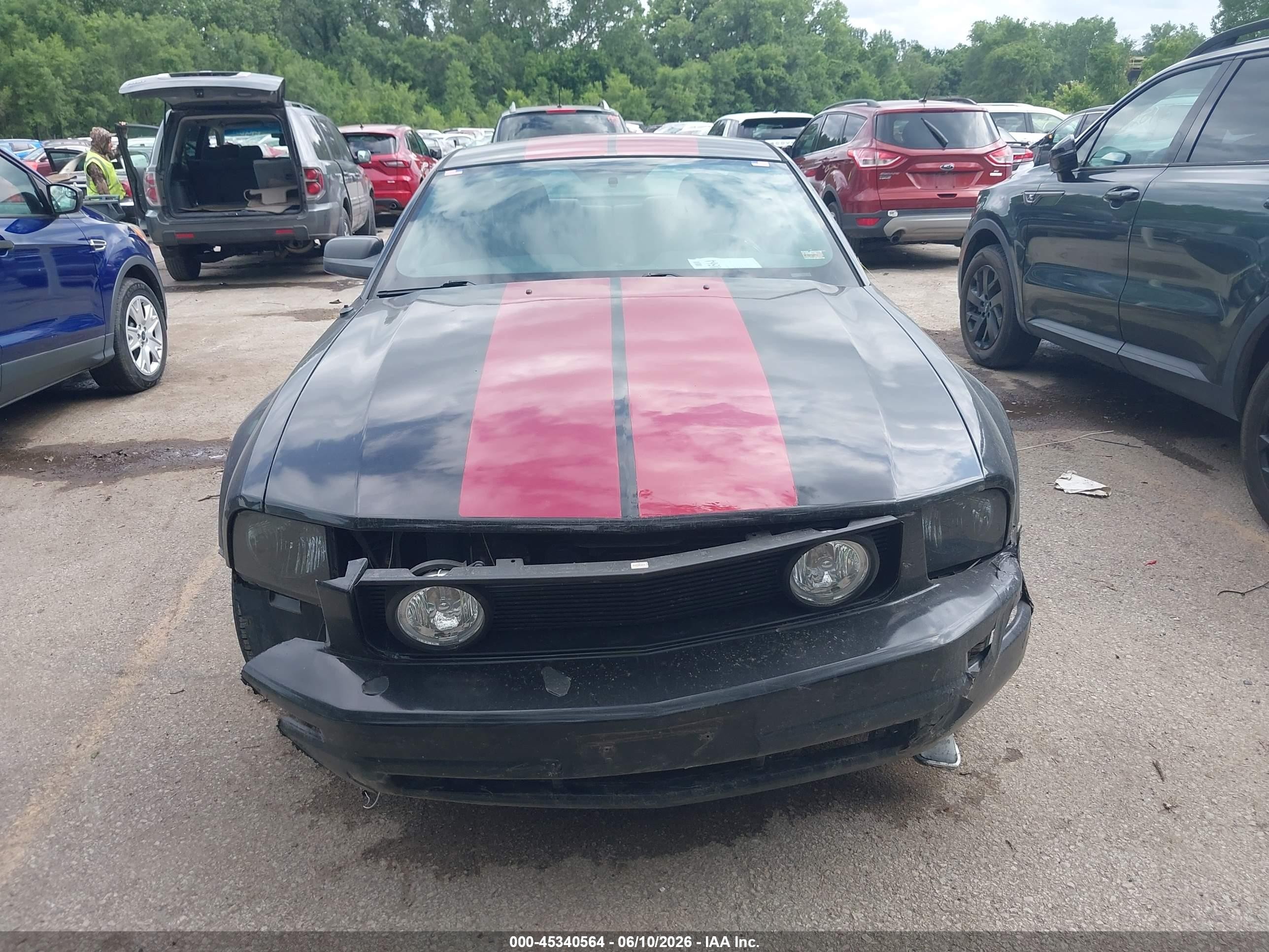 2009 Ford Mustang V6 Черный vin: 1ZVHT80N195102456