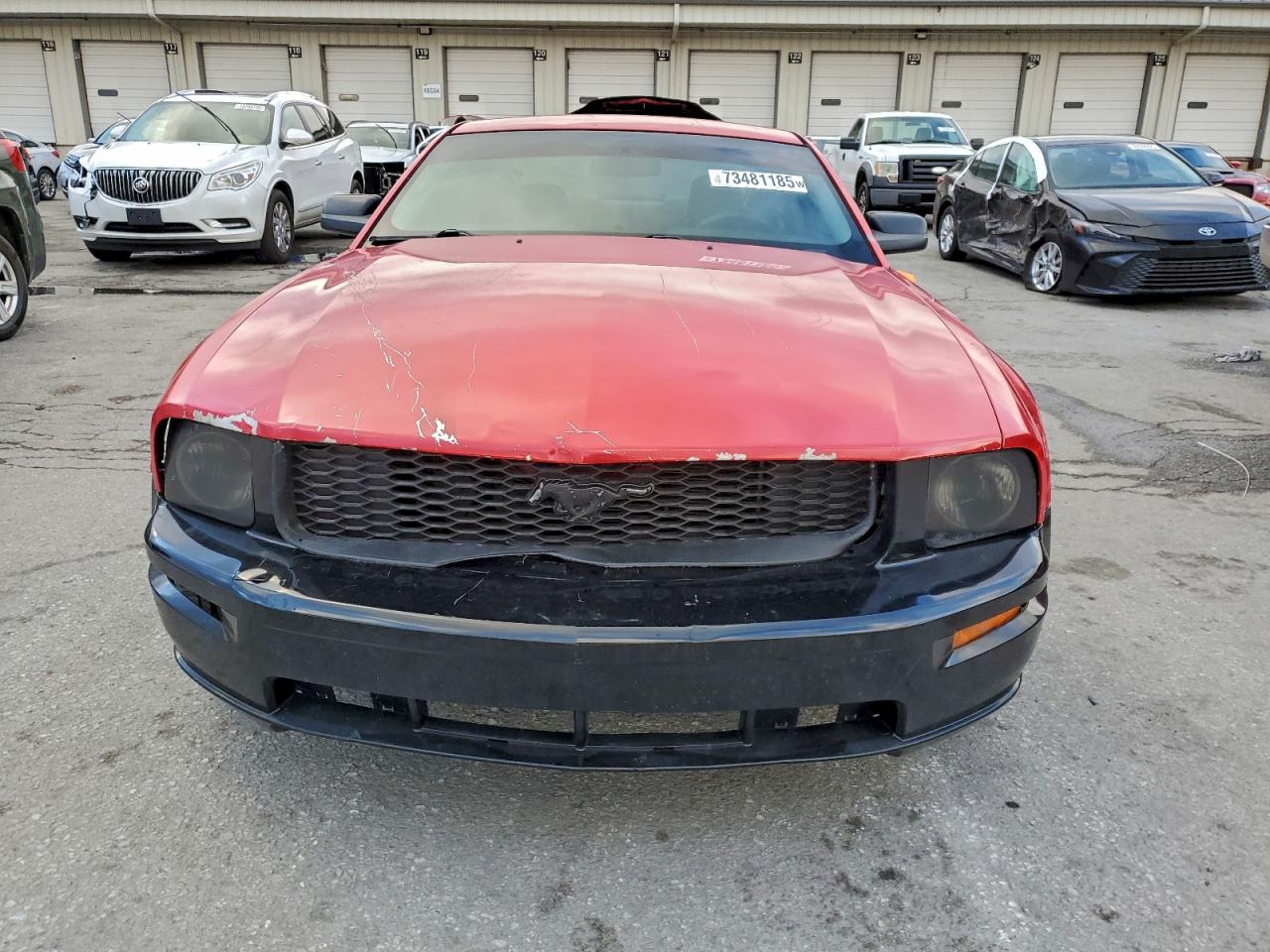 2009 Ford Mustang Red vin: 1ZVHT80N195104384