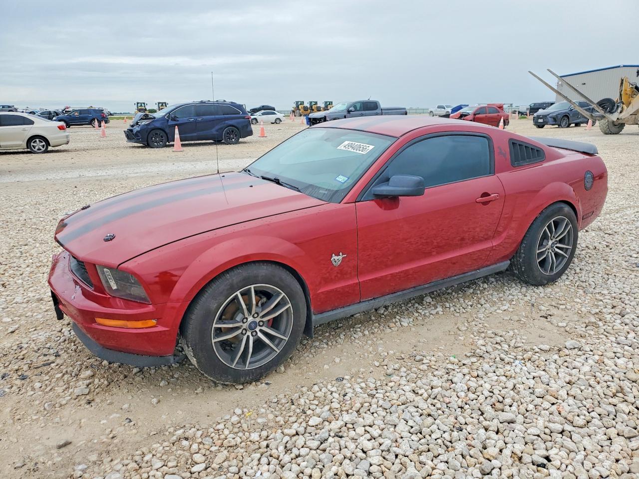 2009 Ford Mustang Red vin: 1ZVHT80N195109939