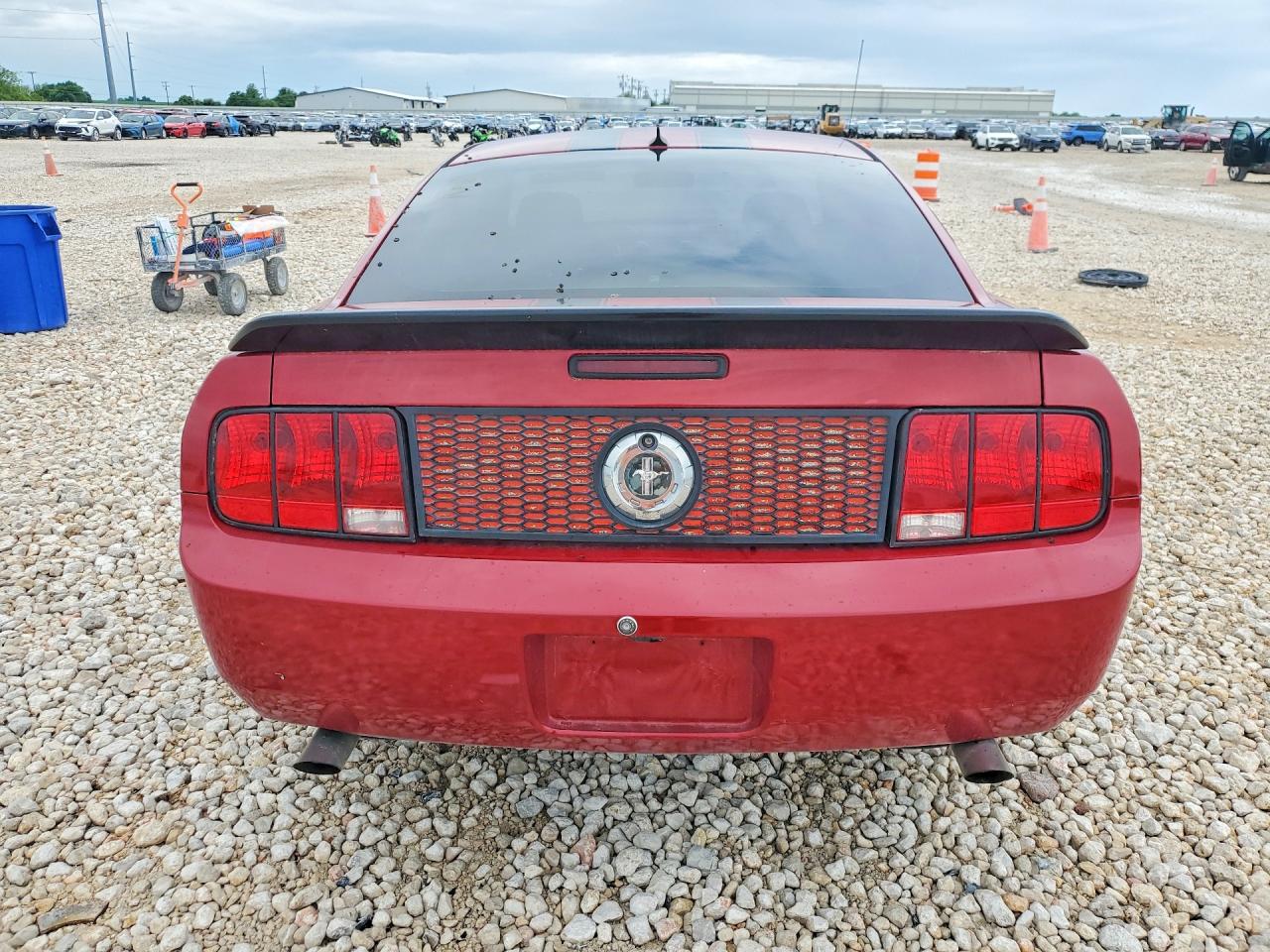 2009 Ford Mustang Red vin: 1ZVHT80N195109939