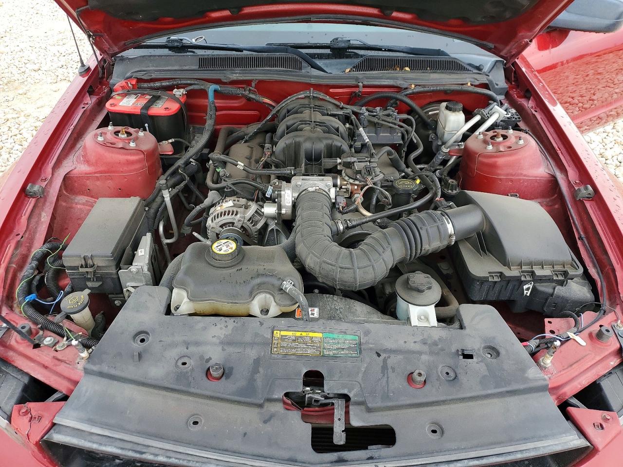 2009 Ford Mustang Red vin: 1ZVHT80N195109939