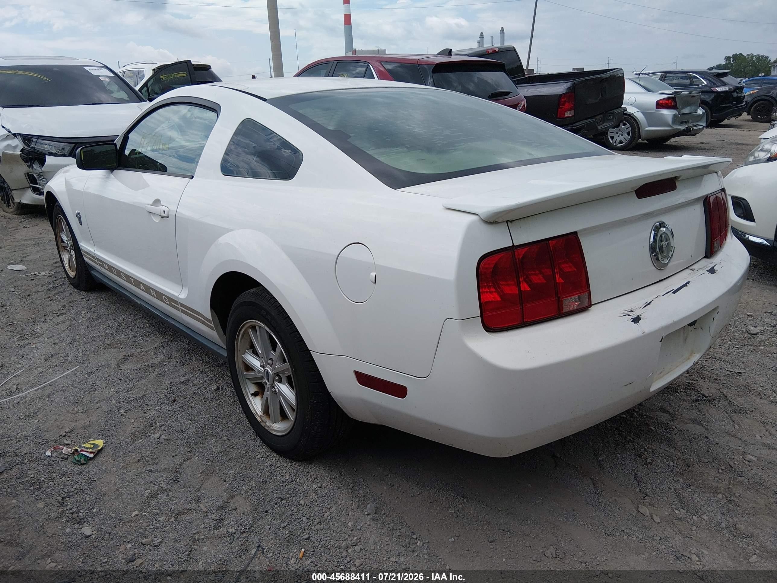 2009 Ford Mustang V6/v6 Premium White vin: 1ZVHT80N195112324