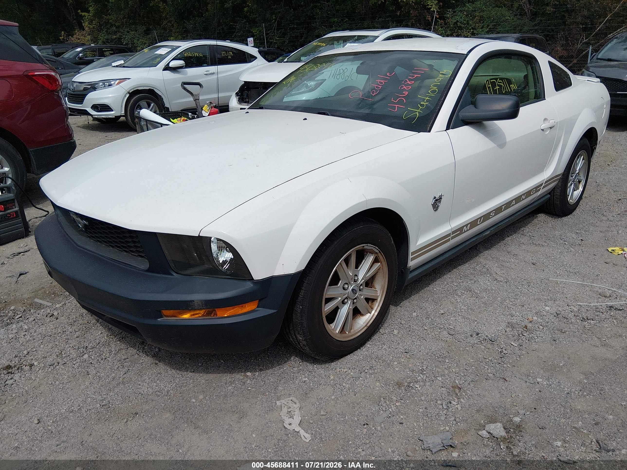 2009 Ford Mustang V6/v6 Premium White vin: 1ZVHT80N195112324