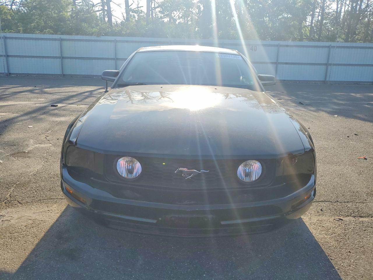2009 Ford Mustang Black vin: 1ZVHT80N195114686