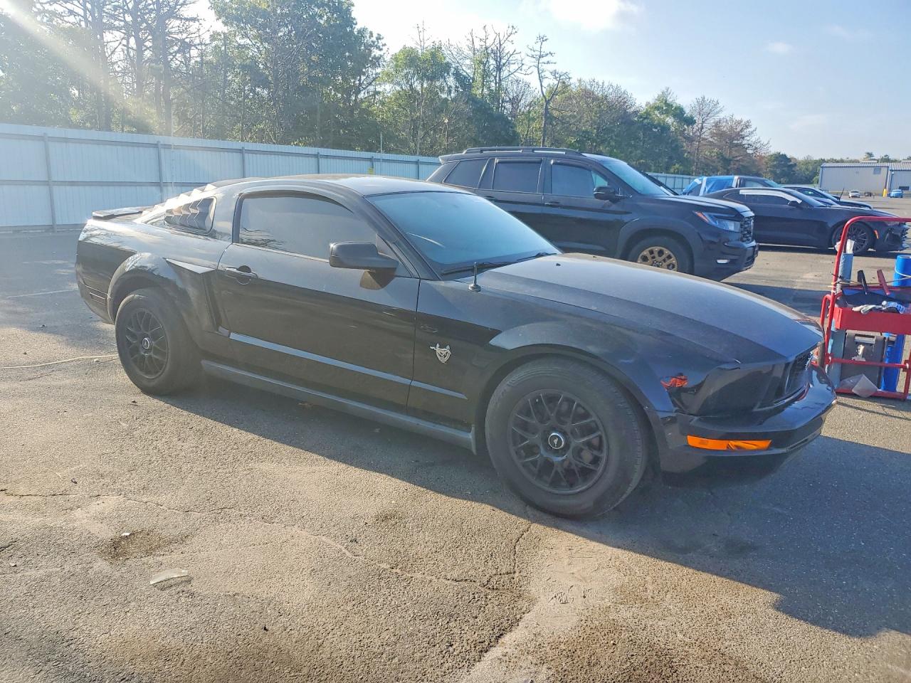 2009 Ford Mustang Black vin: 1ZVHT80N195114686