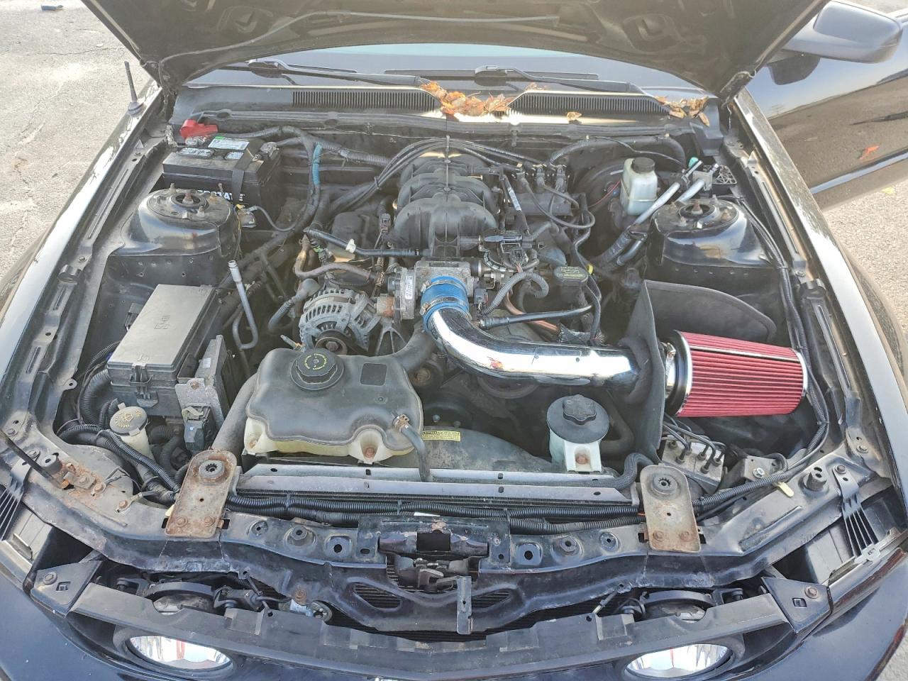 2009 Ford Mustang Black vin: 1ZVHT80N195114686