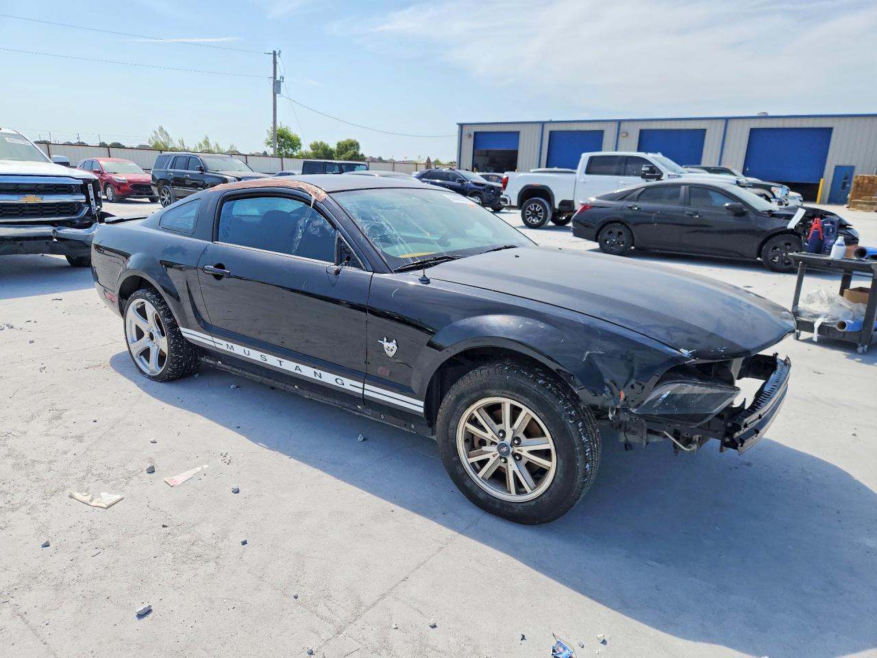 2009 Ford Mustang Black vin: 1ZVHT80N195120102