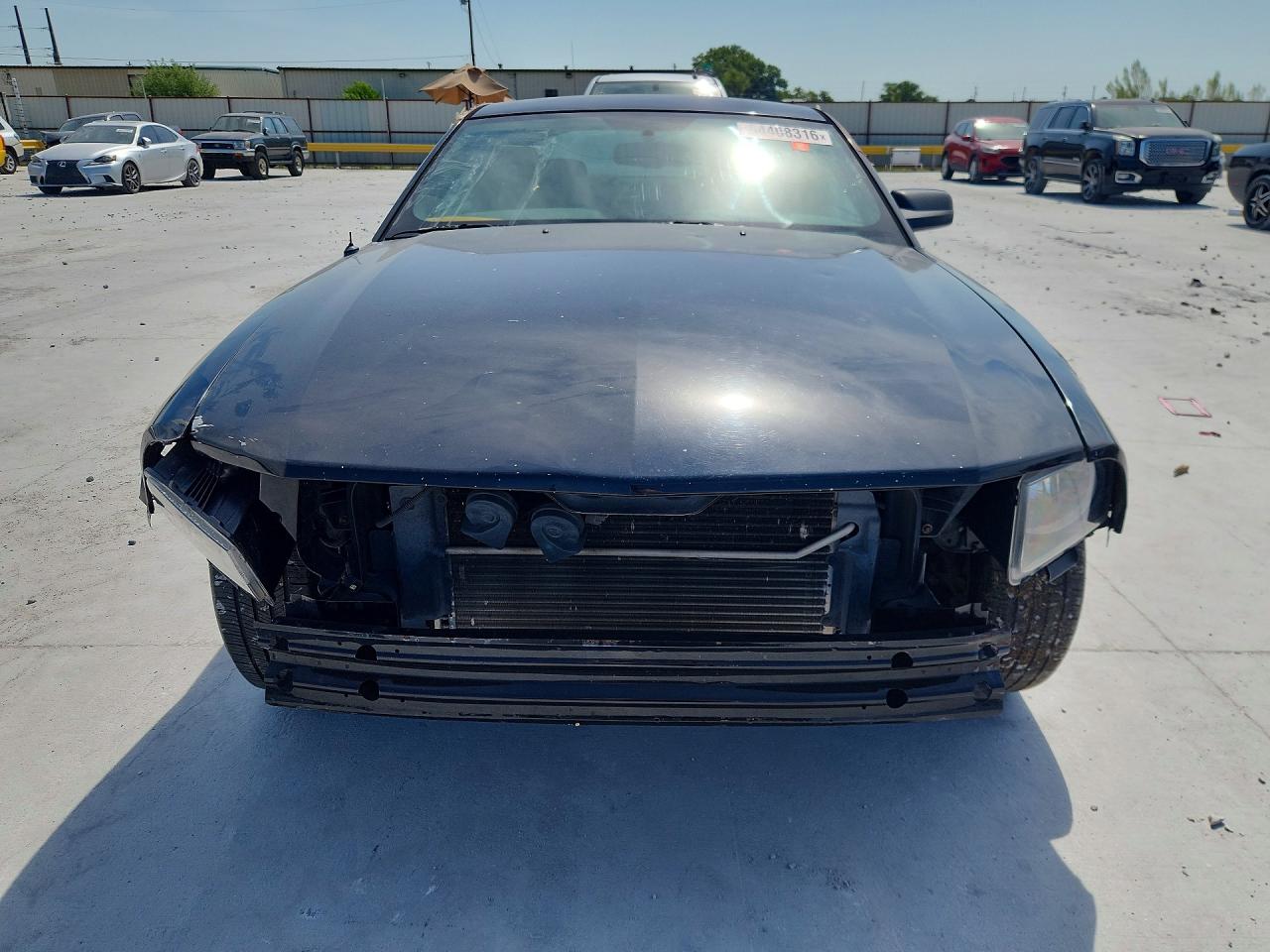 2009 Ford Mustang Black vin: 1ZVHT80N195120102