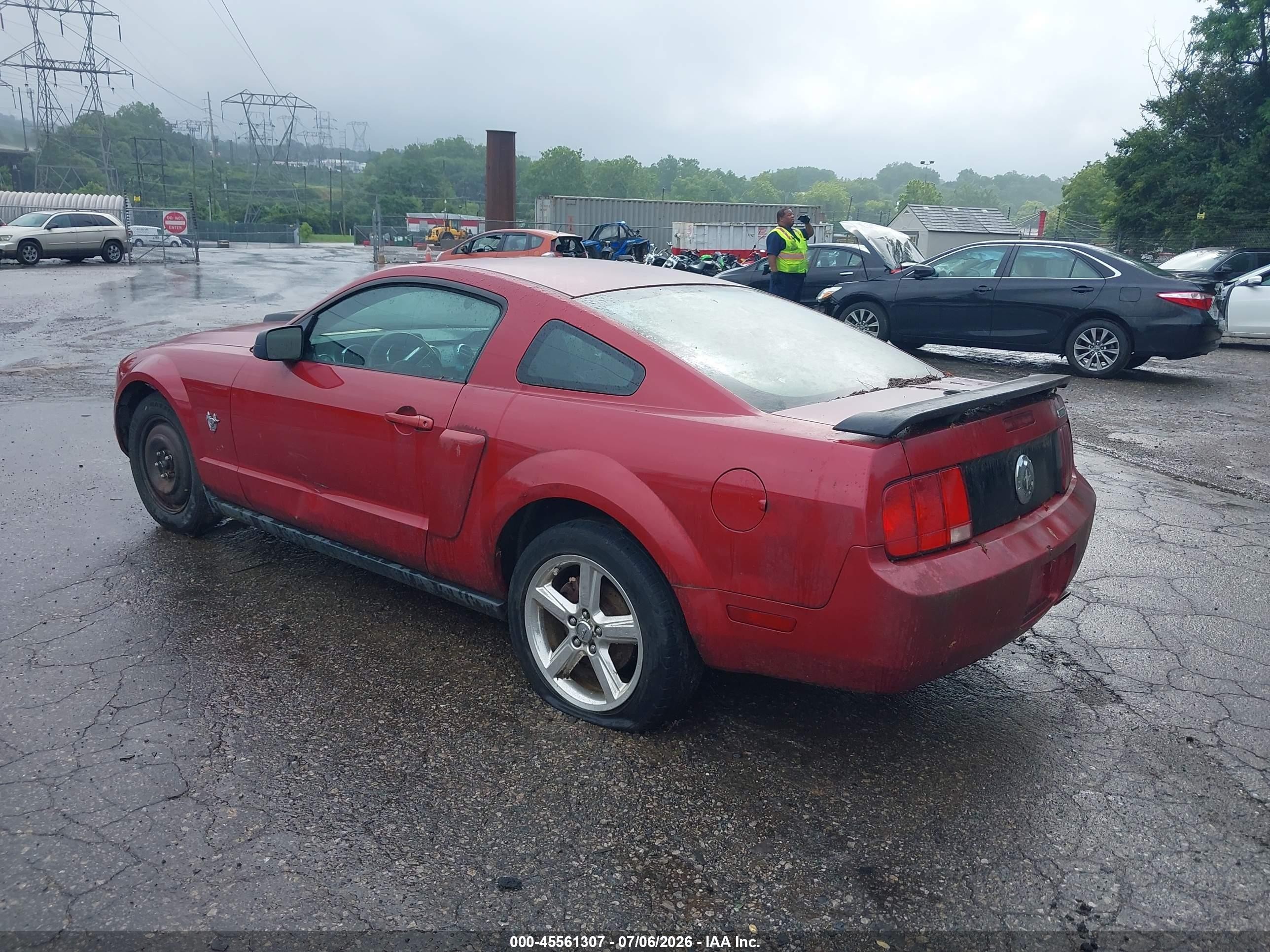 2009 Ford Mustang V6/v6 Premium Red vin: 1ZVHT80N195124652