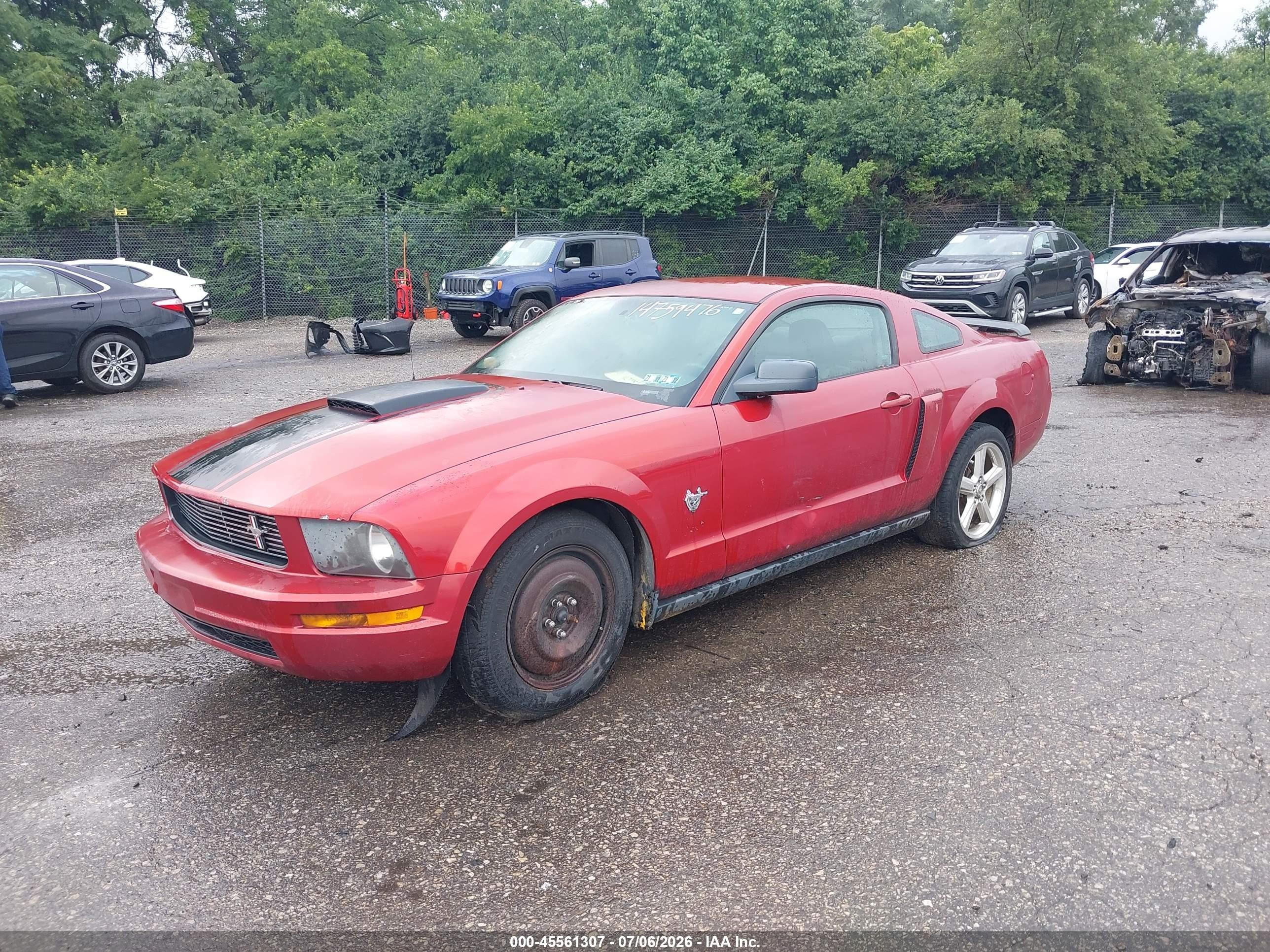 2009 Ford Mustang V6/v6 Premium Red vin: 1ZVHT80N195124652