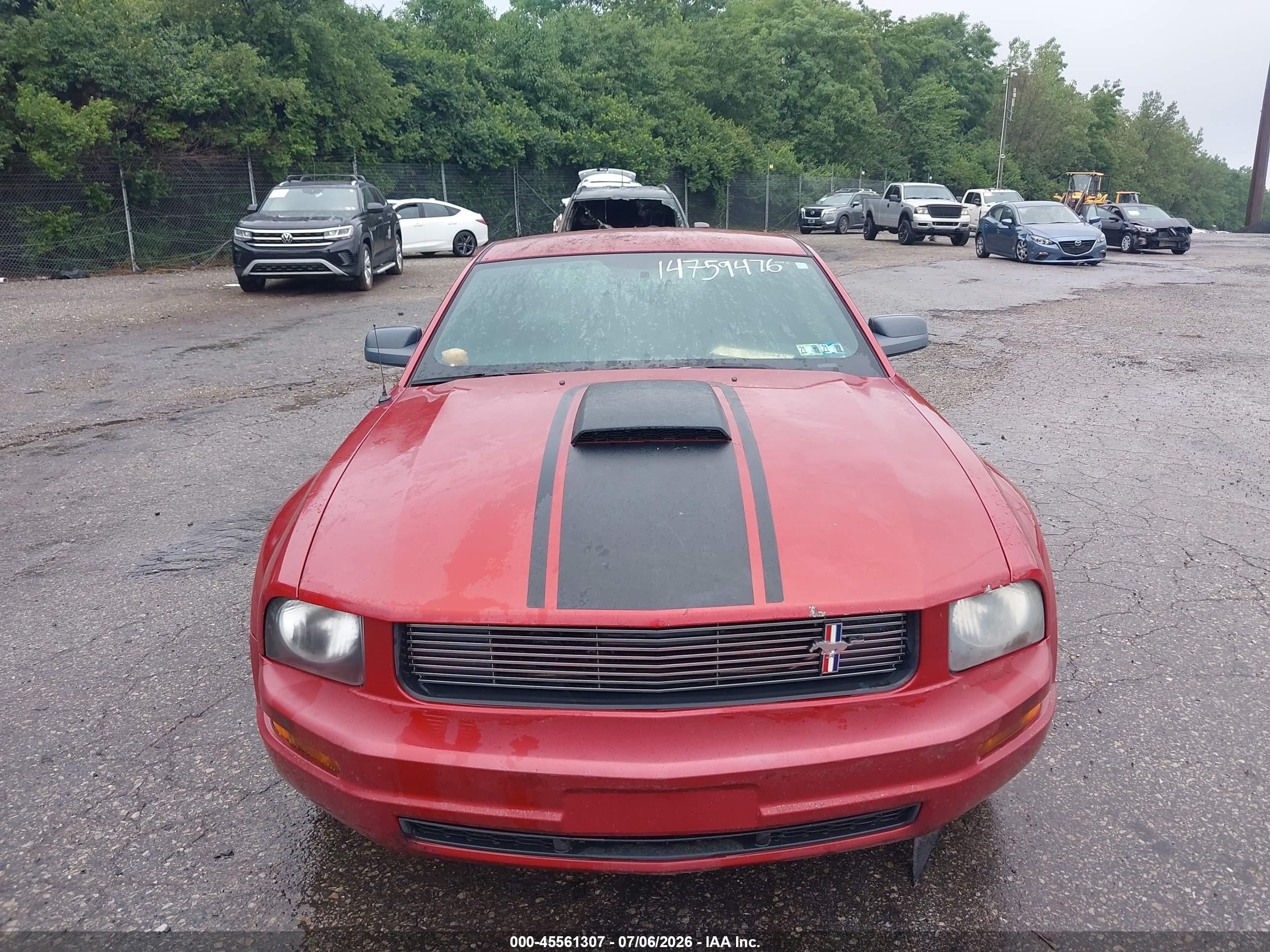 2009 Ford Mustang V6/v6 Premium Red vin: 1ZVHT80N195124652