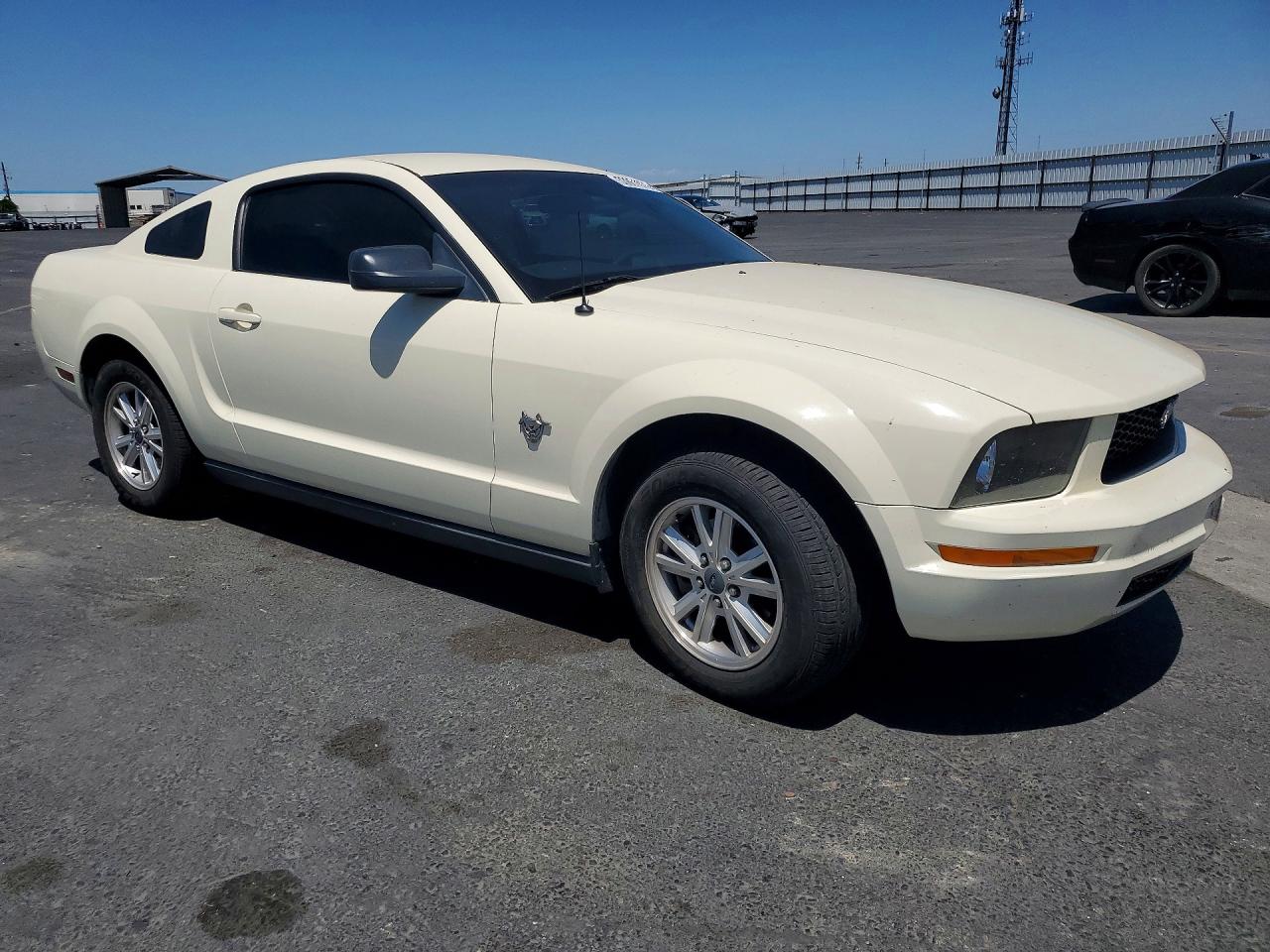 2009 Ford Mustang Beige vin: 1ZVHT80N195142648