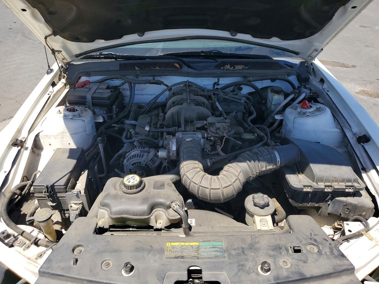 2009 Ford Mustang Beige vin: 1ZVHT80N195142648