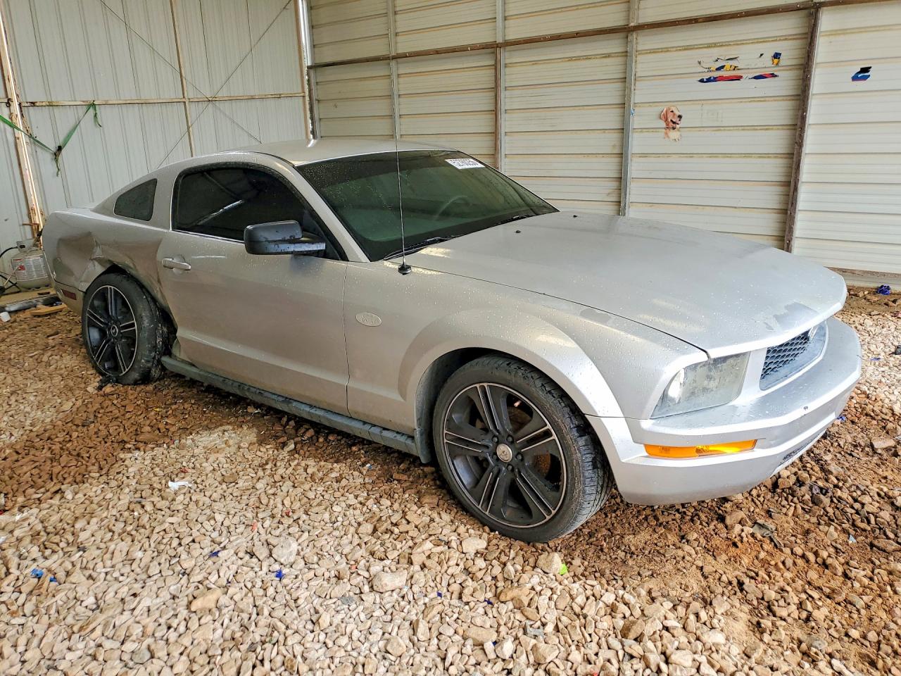 2009 Ford Mustang Silver vin: 1ZVHT80N195144836