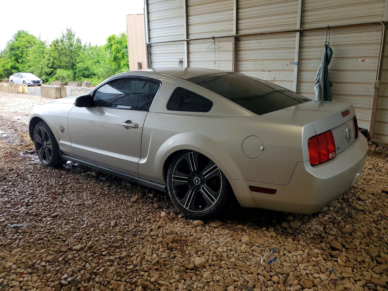 2009 Ford Mustang Silver vin: 1ZVHT80N195144836