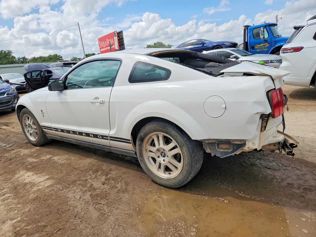 2007 Ford Mustang White vin: 1ZVHT80N275247535