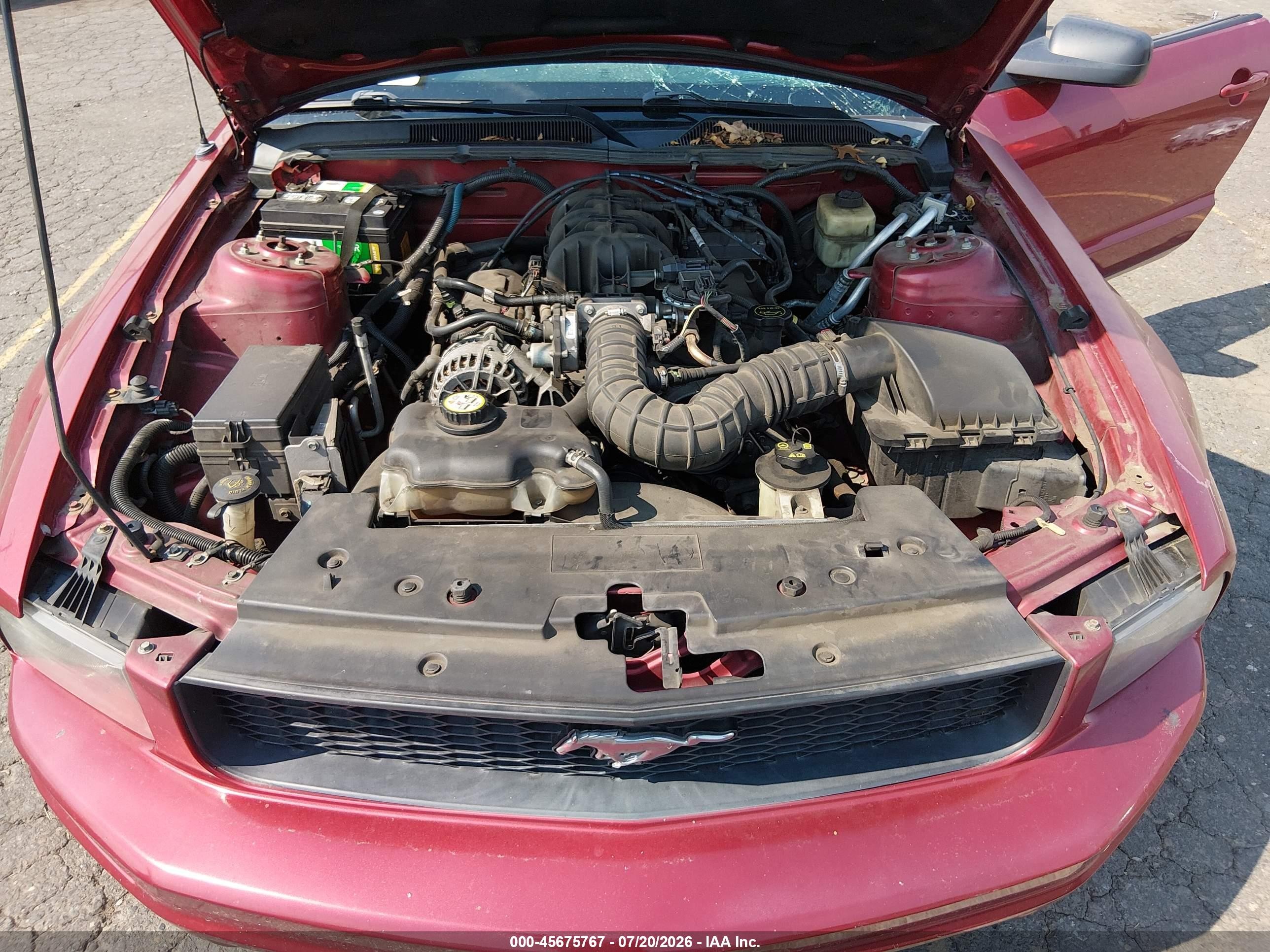 2007 Ford Mustang V6 Deluxe/v6 Premium Red vin: 1ZVHT80N275278526