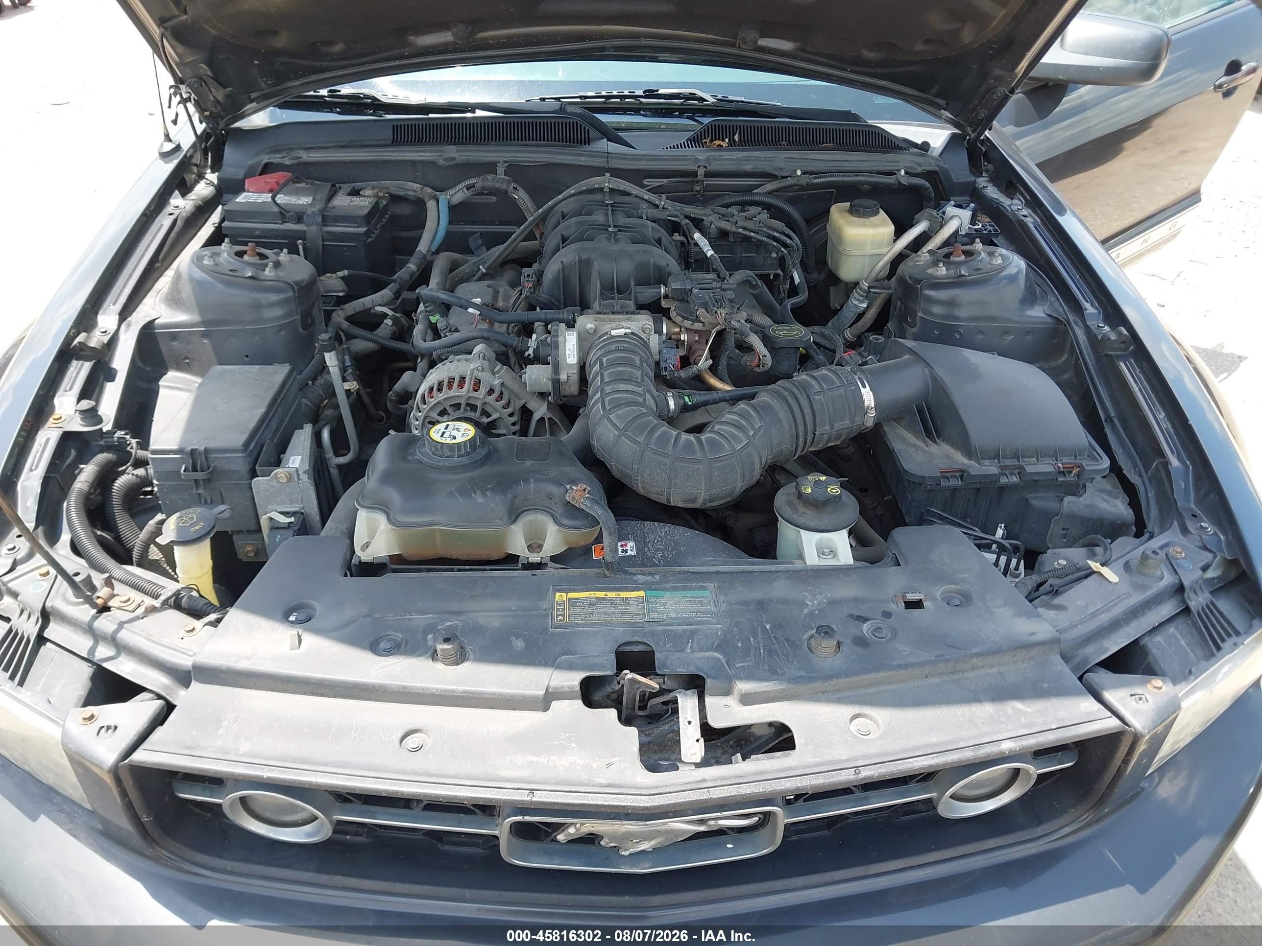 2007 Ford Mustang V6 Deluxe/v6 Premium Серый vin: 1ZVHT80N275305174