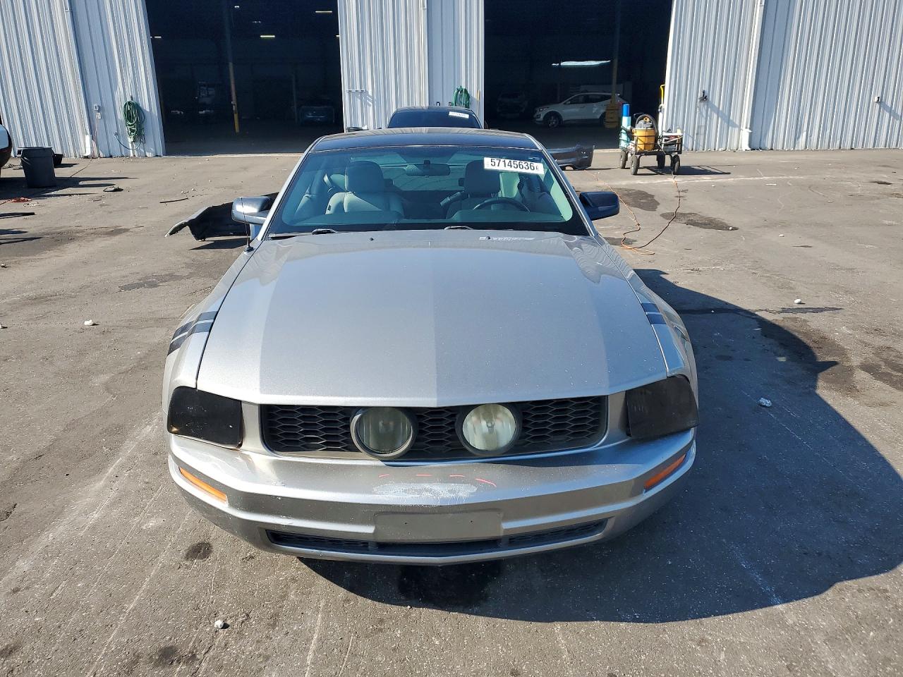2008 Ford Mustang Silver vin: 1ZVHT80N285207344