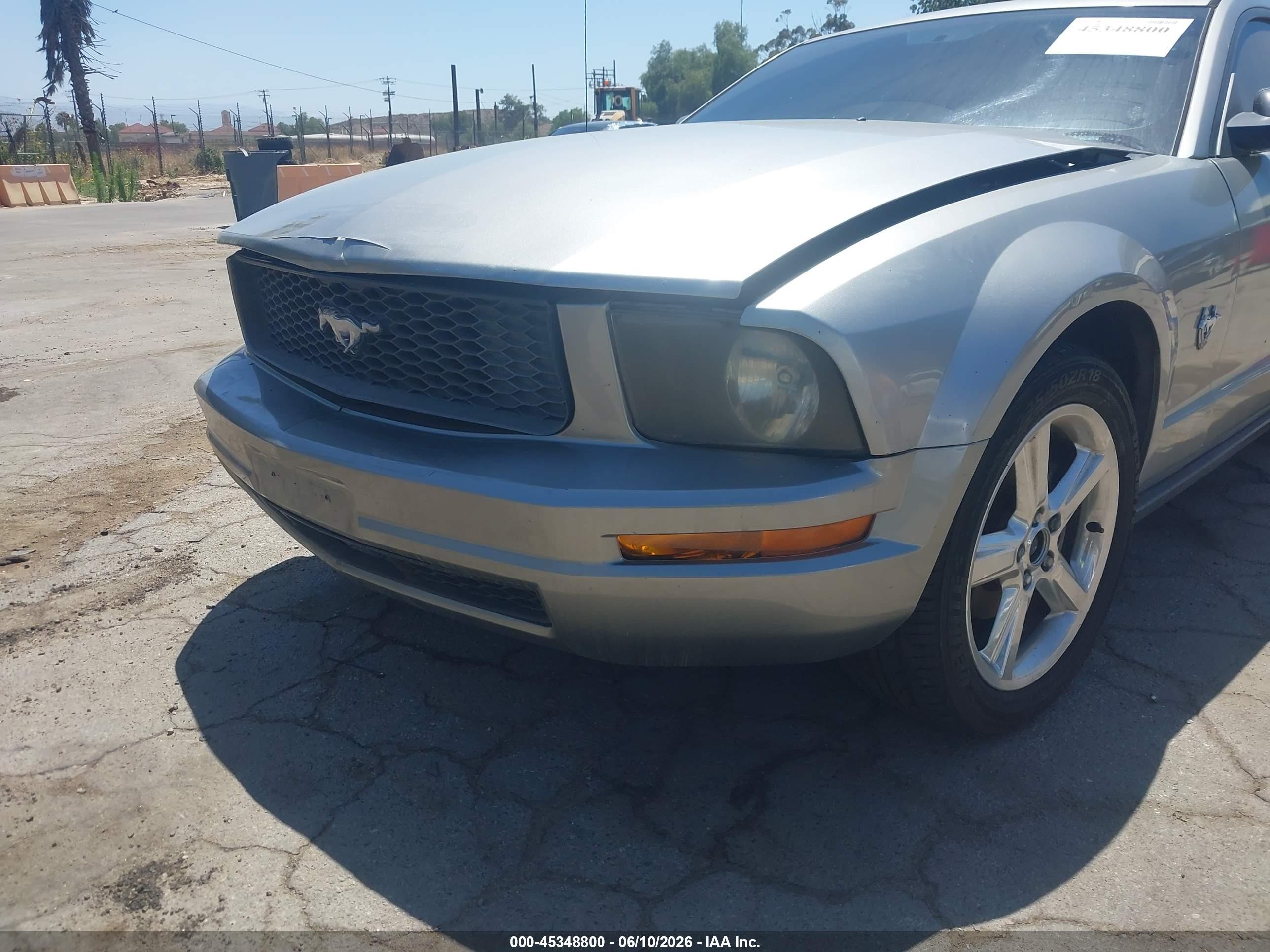 2009 Ford Mustang V6/v6 Premium Серебряный vin: 1ZVHT80N295106001