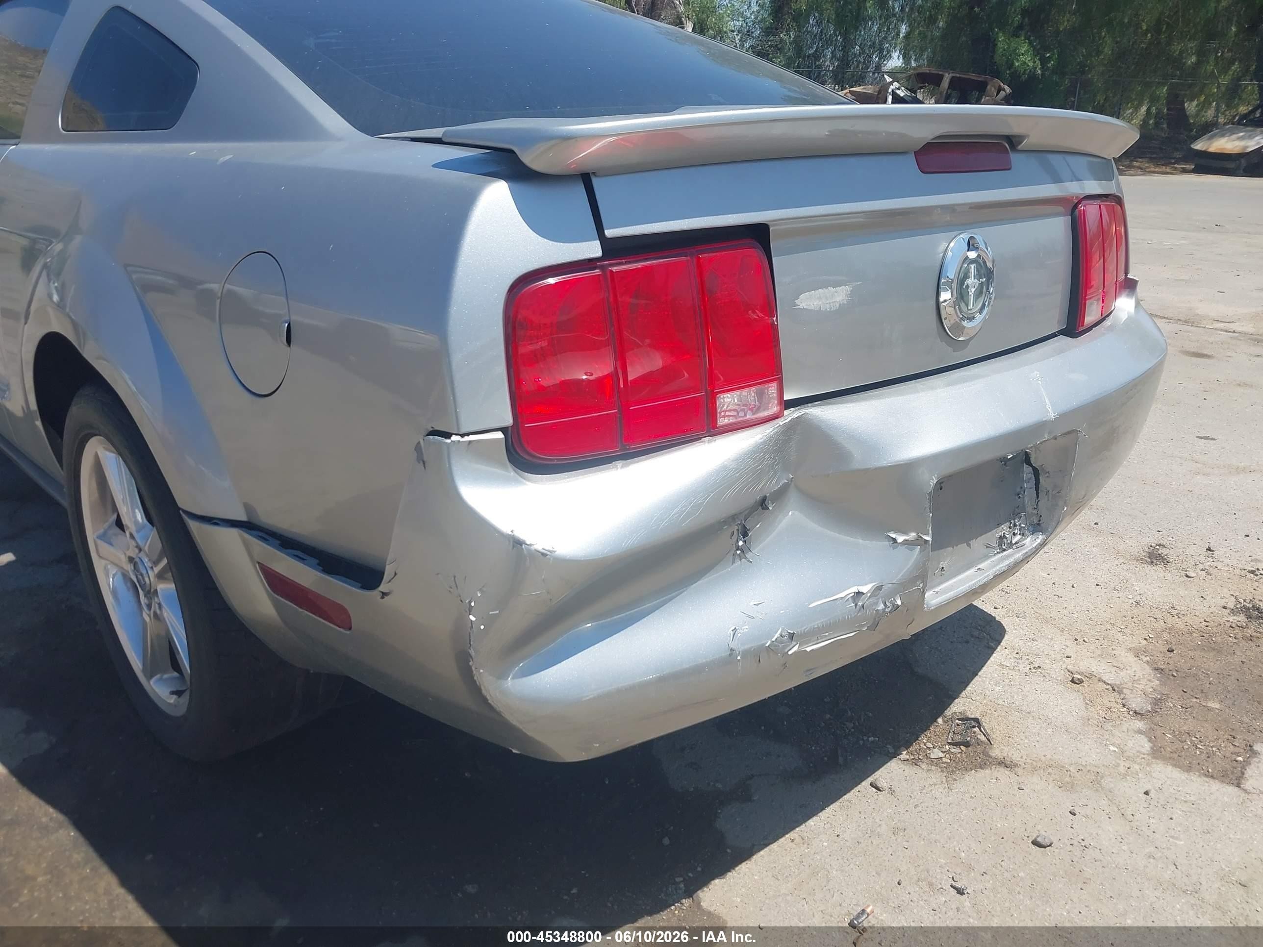 2009 Ford Mustang V6/v6 Premium Серебряный vin: 1ZVHT80N295106001