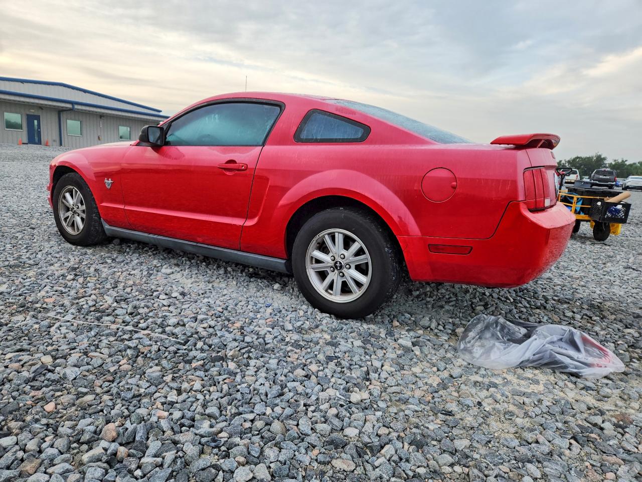 2009 Ford Mustang Red vin: 1ZVHT80N295109643