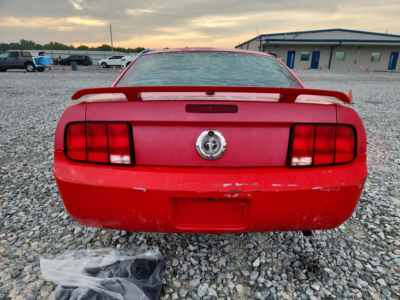2009 Ford Mustang Red vin: 1ZVHT80N295109643