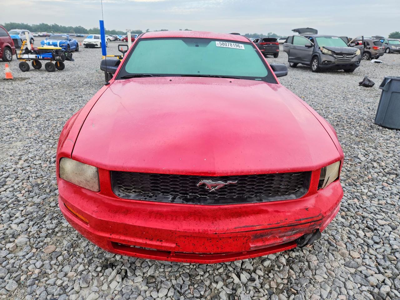 2009 Ford Mustang Red vin: 1ZVHT80N295109643