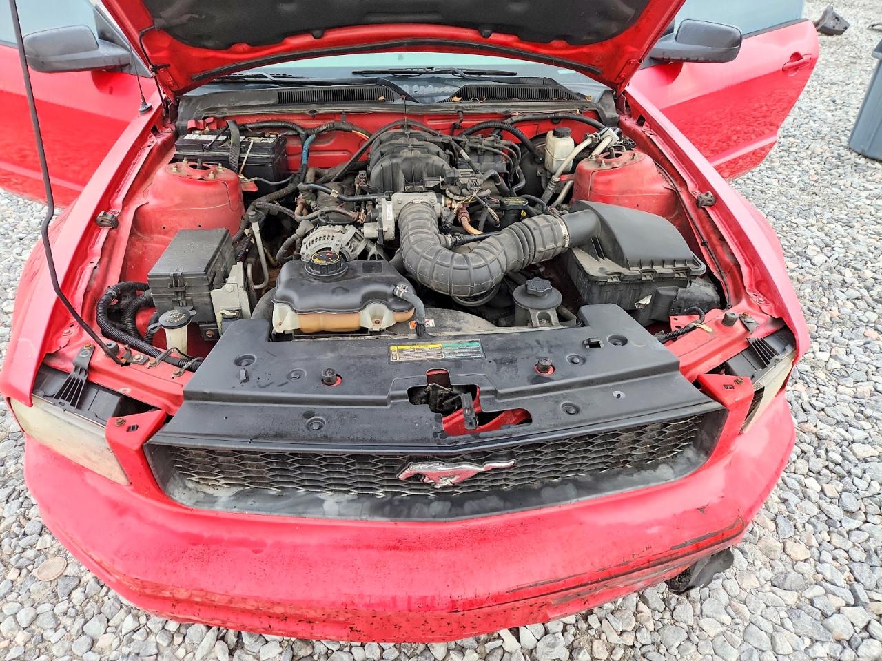 2009 Ford Mustang Red vin: 1ZVHT80N295109643