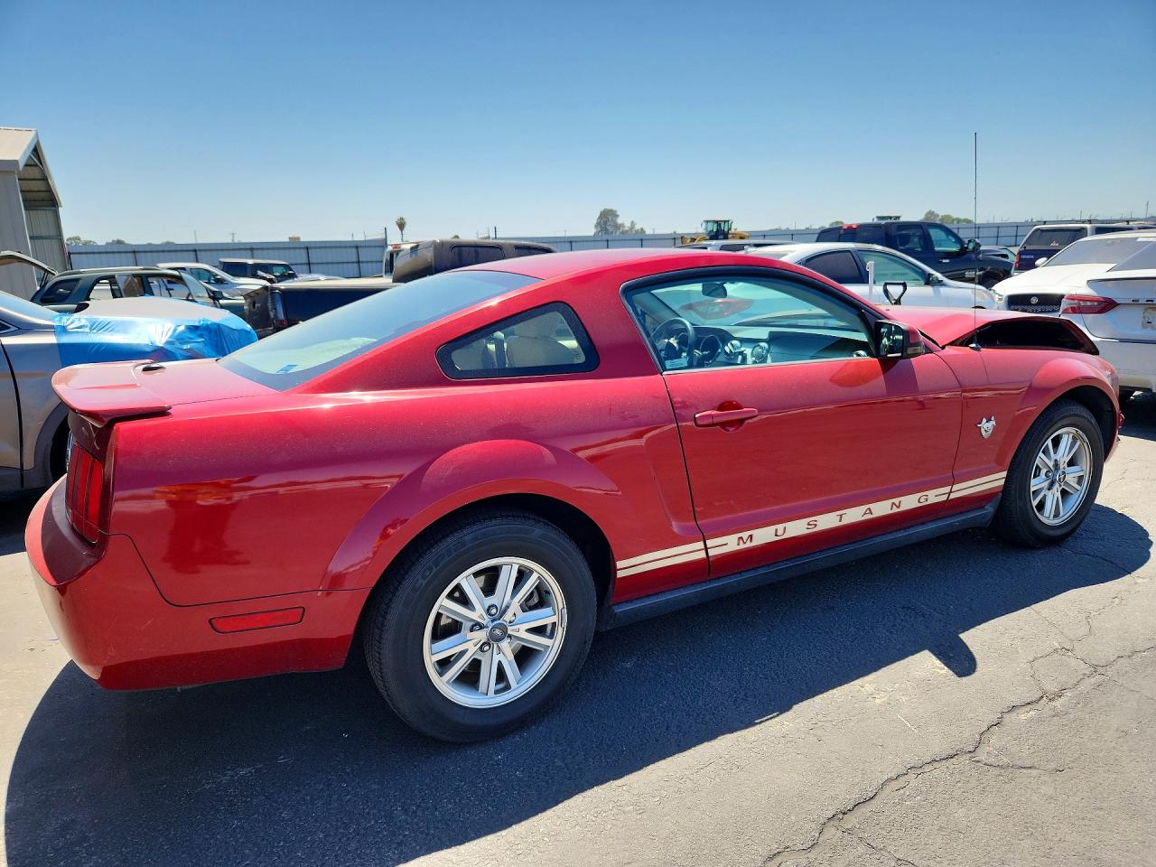 2009 Ford Mustang Красный vin: 1ZVHT80N295140469