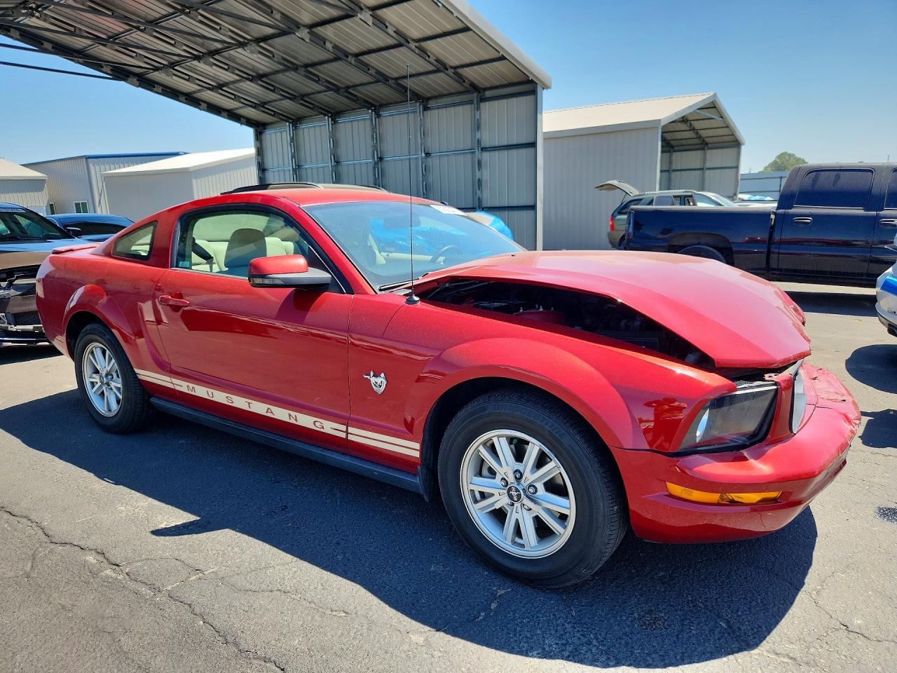 2009 Ford Mustang Красный vin: 1ZVHT80N295140469