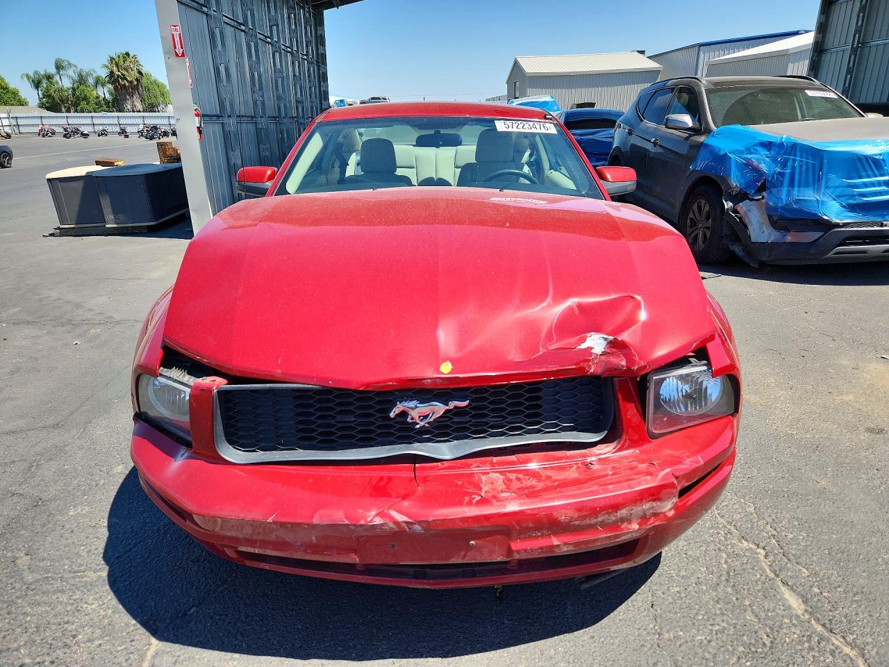 2009 Ford Mustang Красный vin: 1ZVHT80N295140469