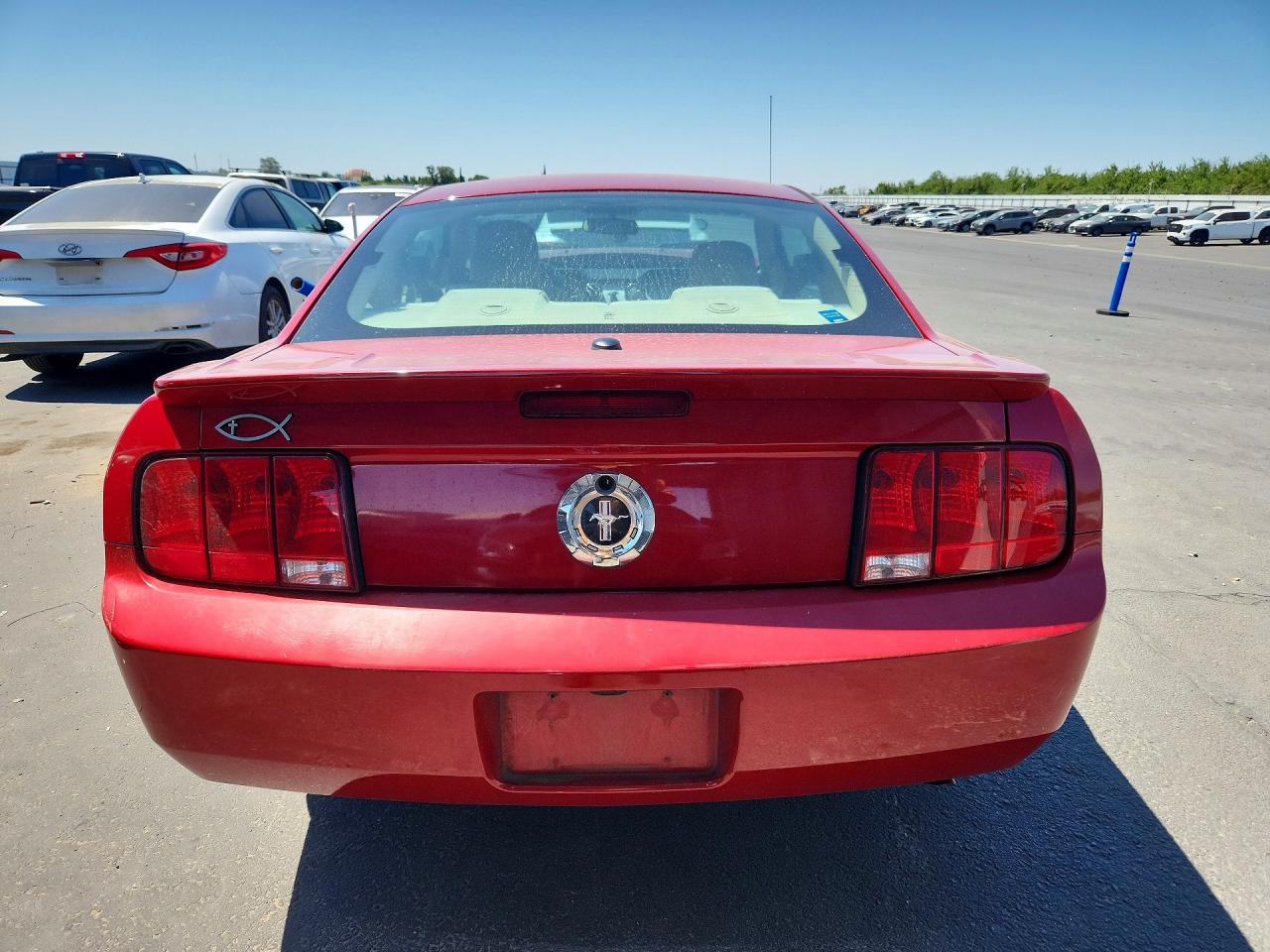 2009 Ford Mustang Красный vin: 1ZVHT80N295140469