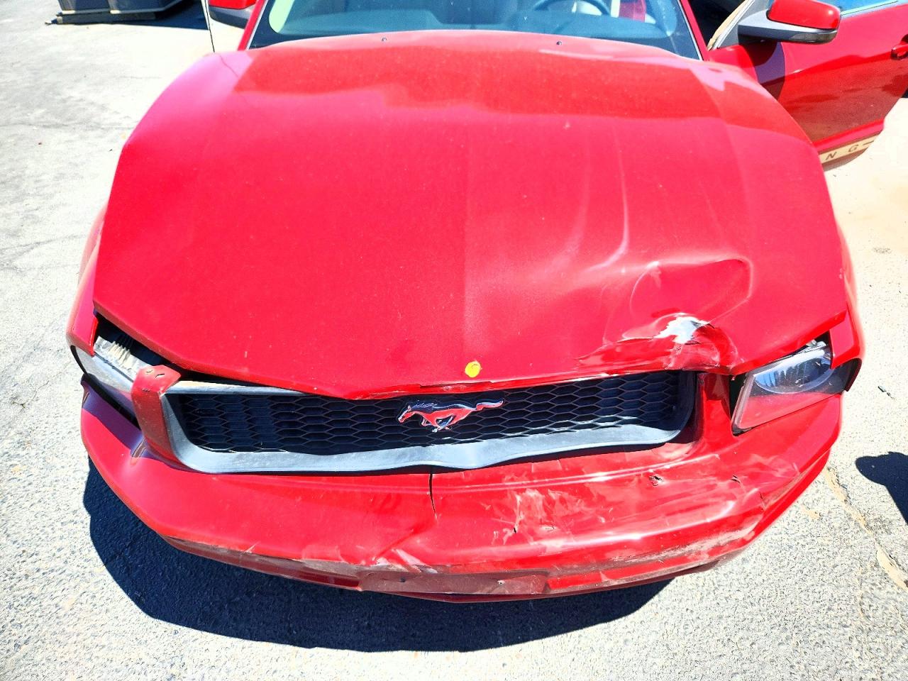 2009 Ford Mustang Красный vin: 1ZVHT80N295140469