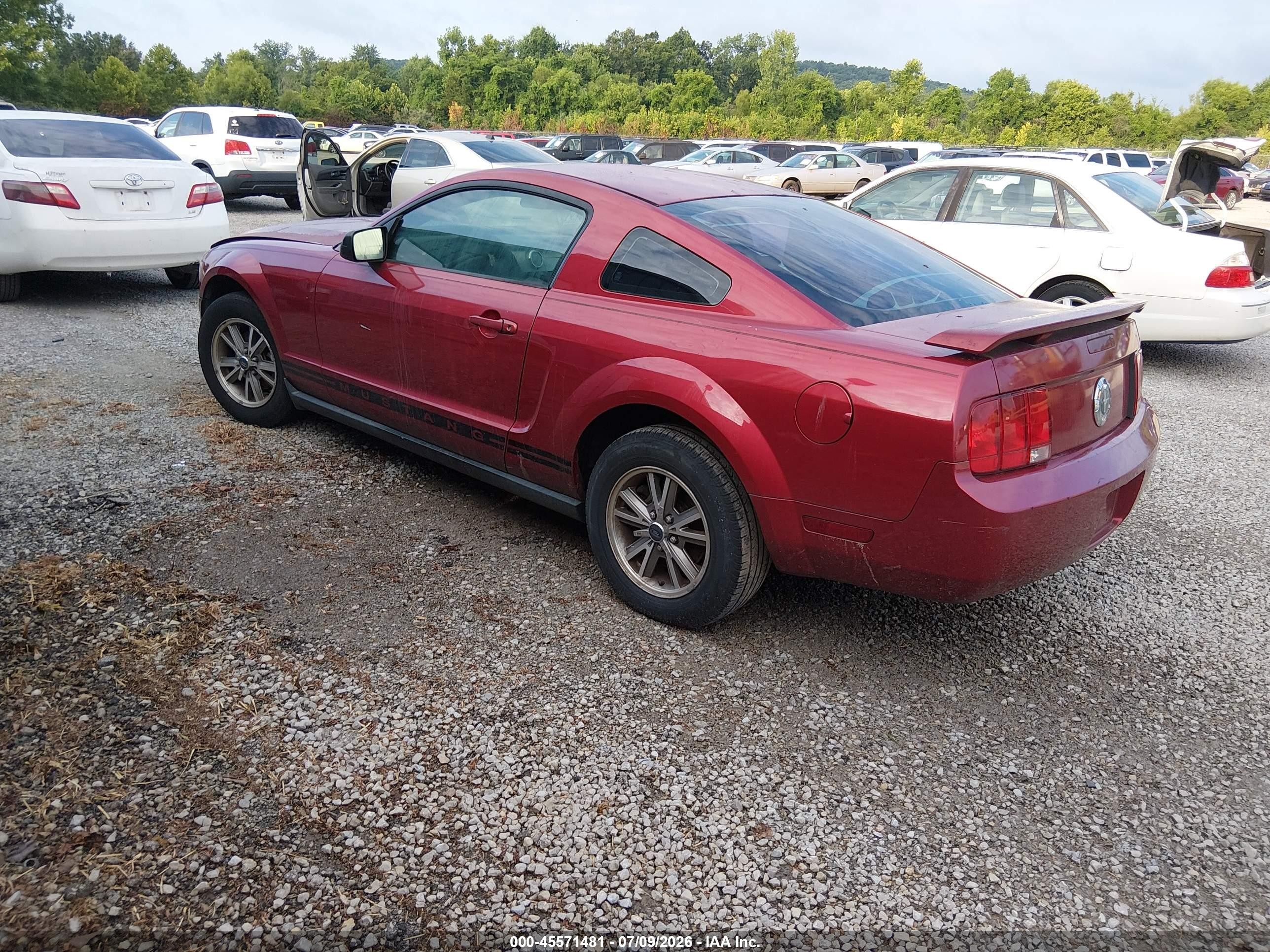 2005 Ford Mustang V6 Deluxe/v6 Premium Red vin: 1ZVHT80N355112660
